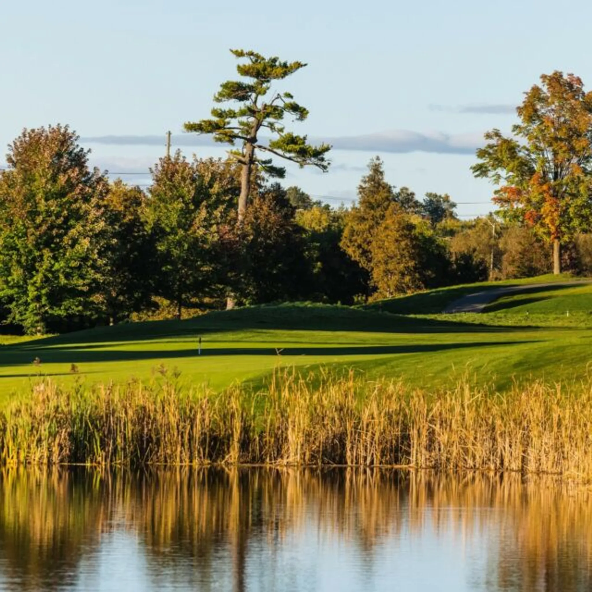 Angus Glen Golf Club Tournament