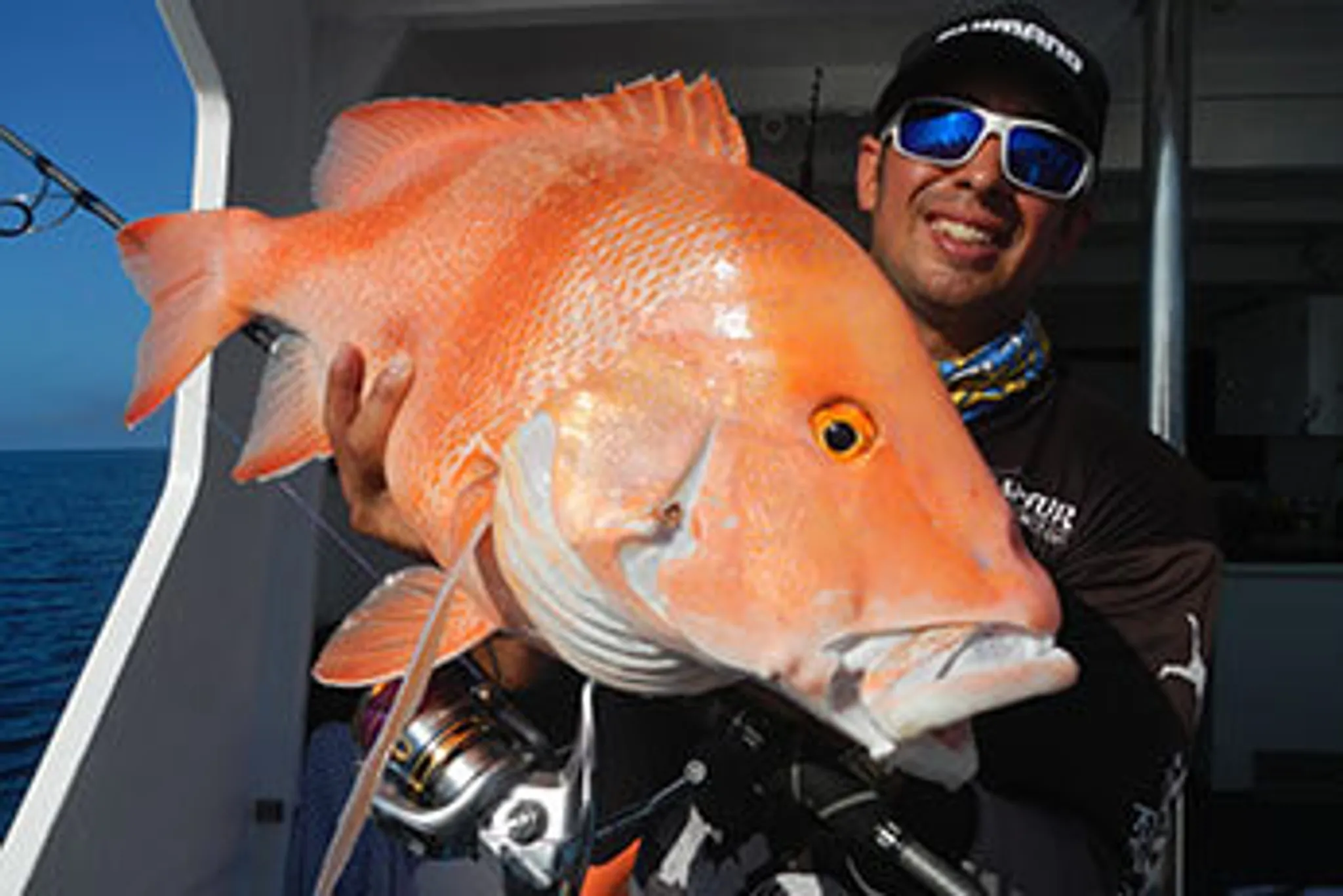 Princess Charlotte Bay Expeditions