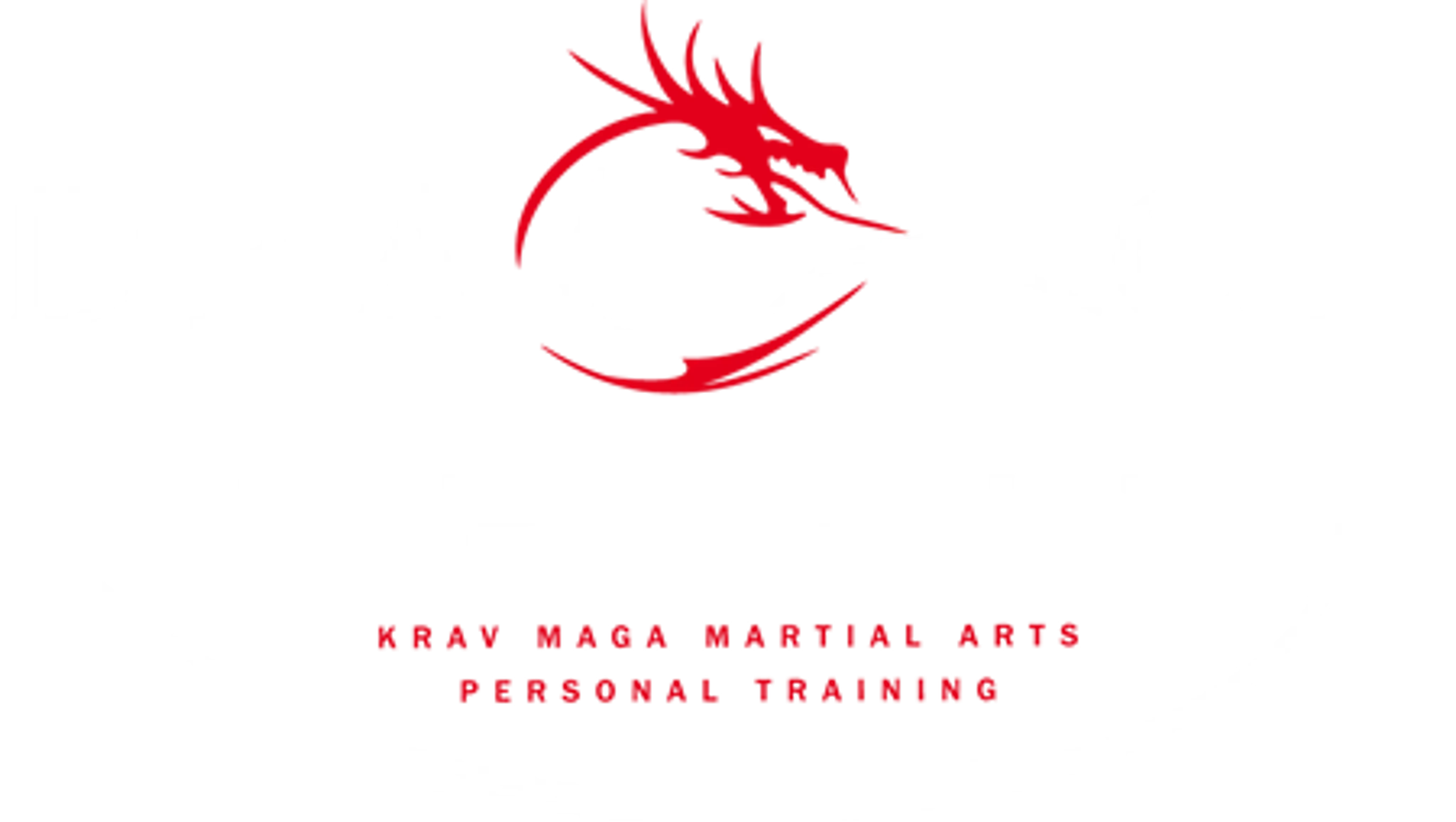 Dragon Spirit Krav Maga