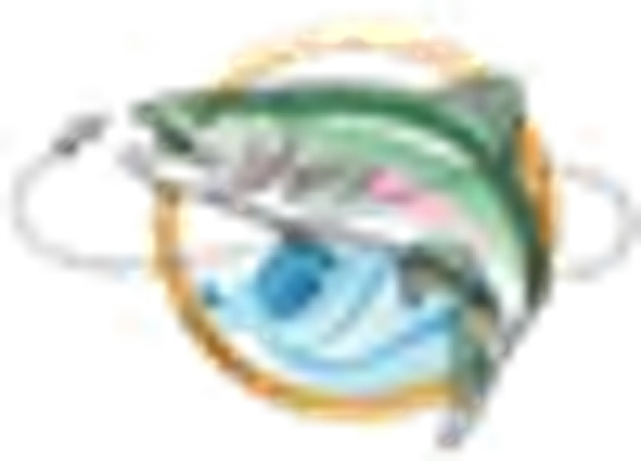 Pourvoirie Lac Justone Fermont | Rivire Caniapiscau