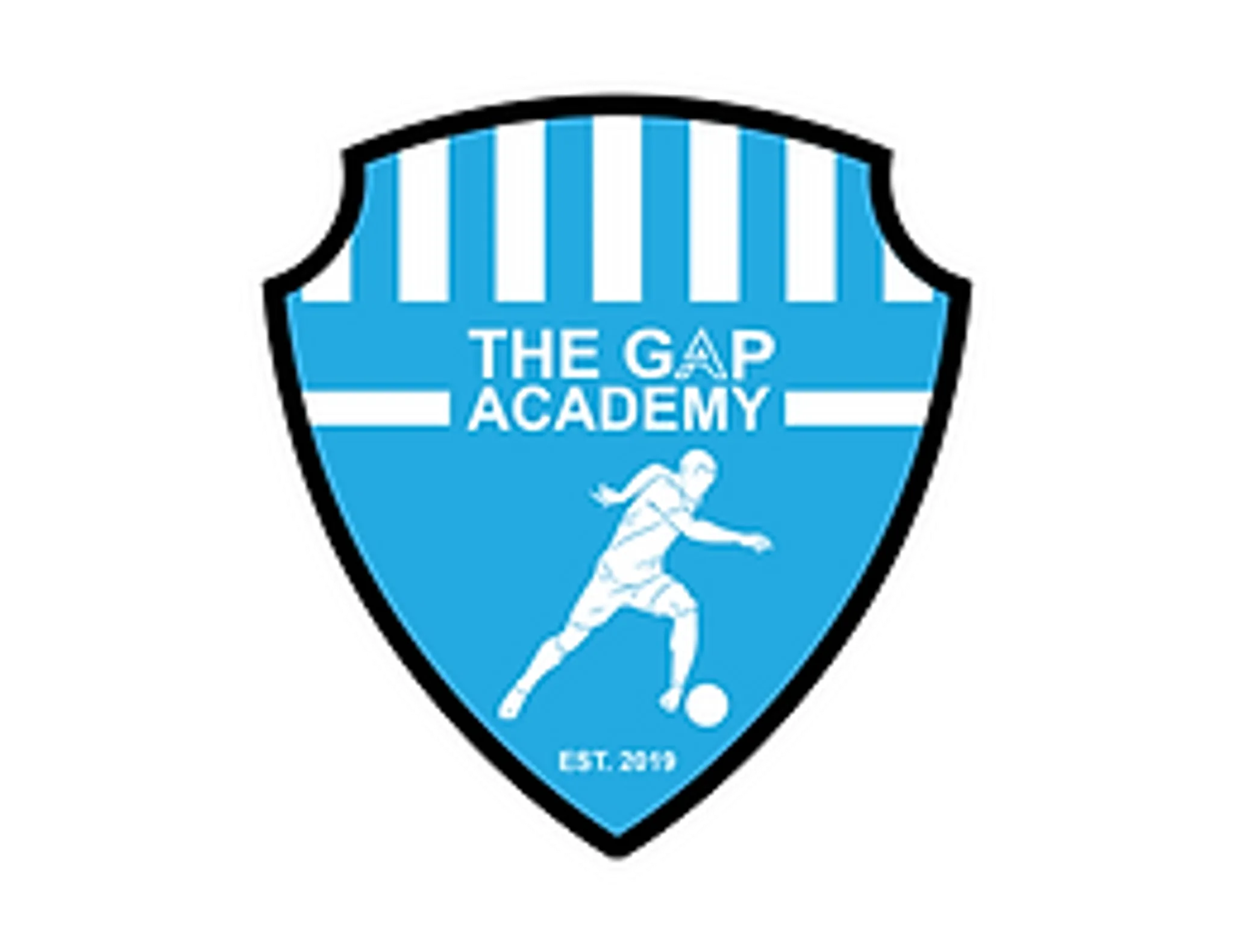THE GAP ACADEMY