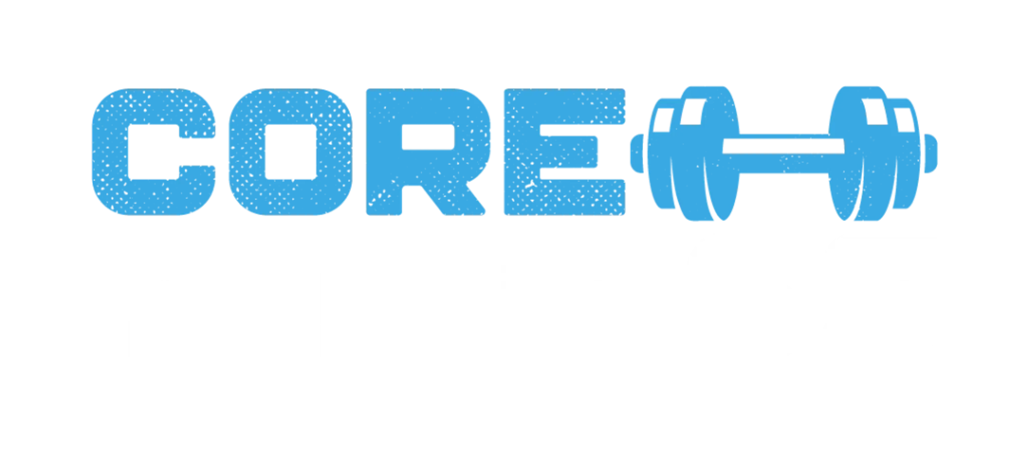 Core fitness gym udaipur