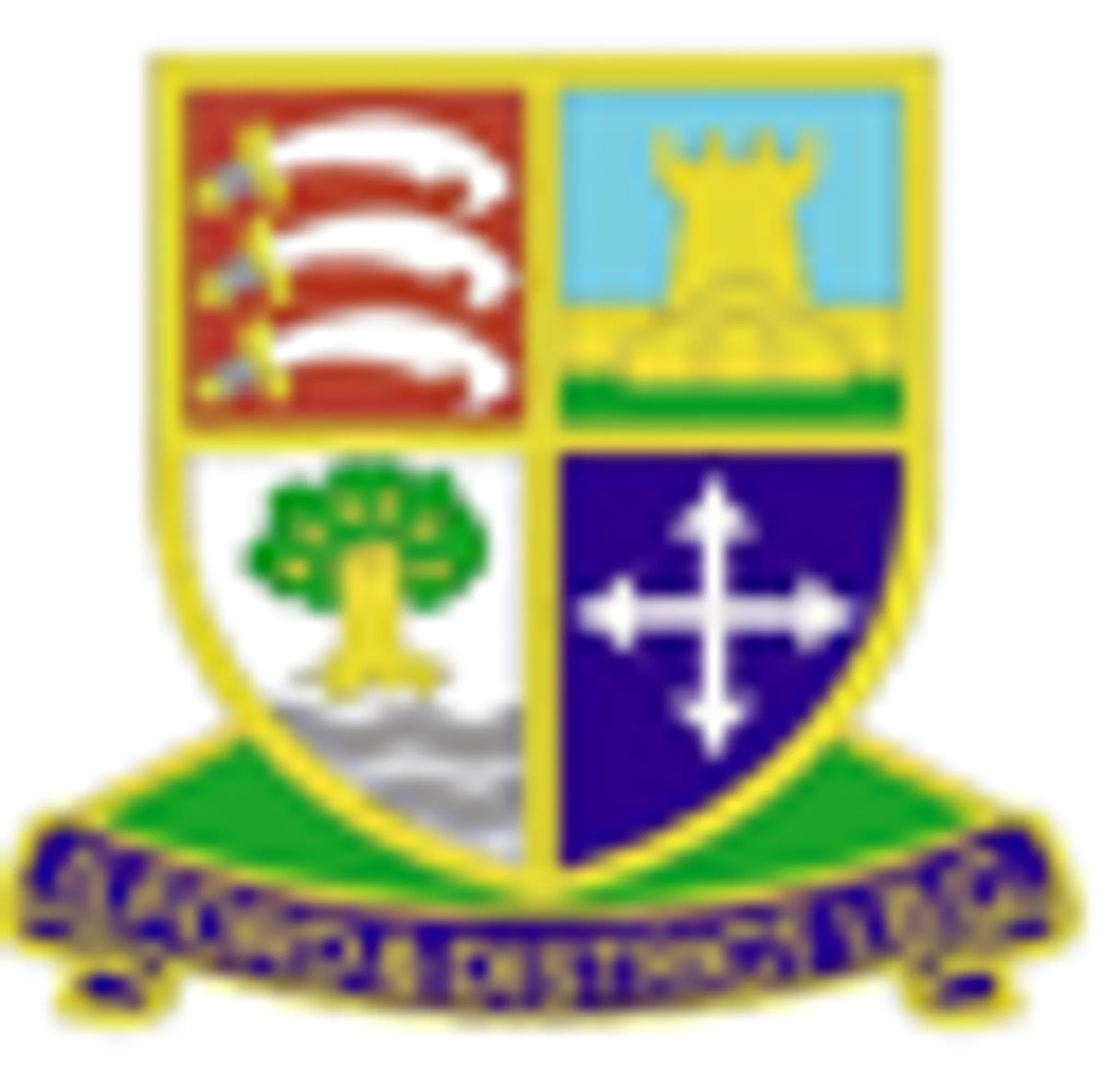 Ilford & District Indoor Bowls Club