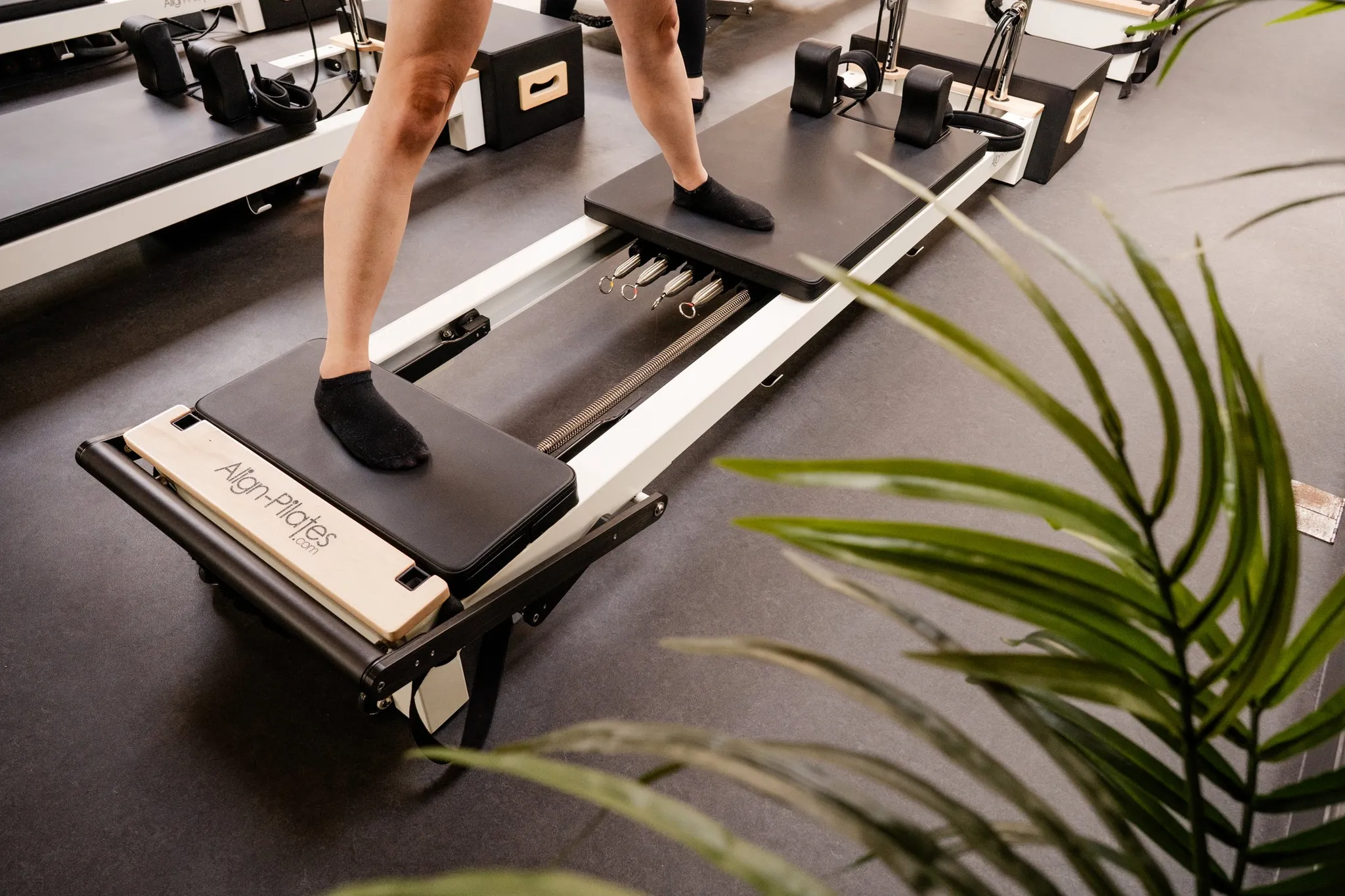 Reformer Pilates Classes Reformer Pilates Classes