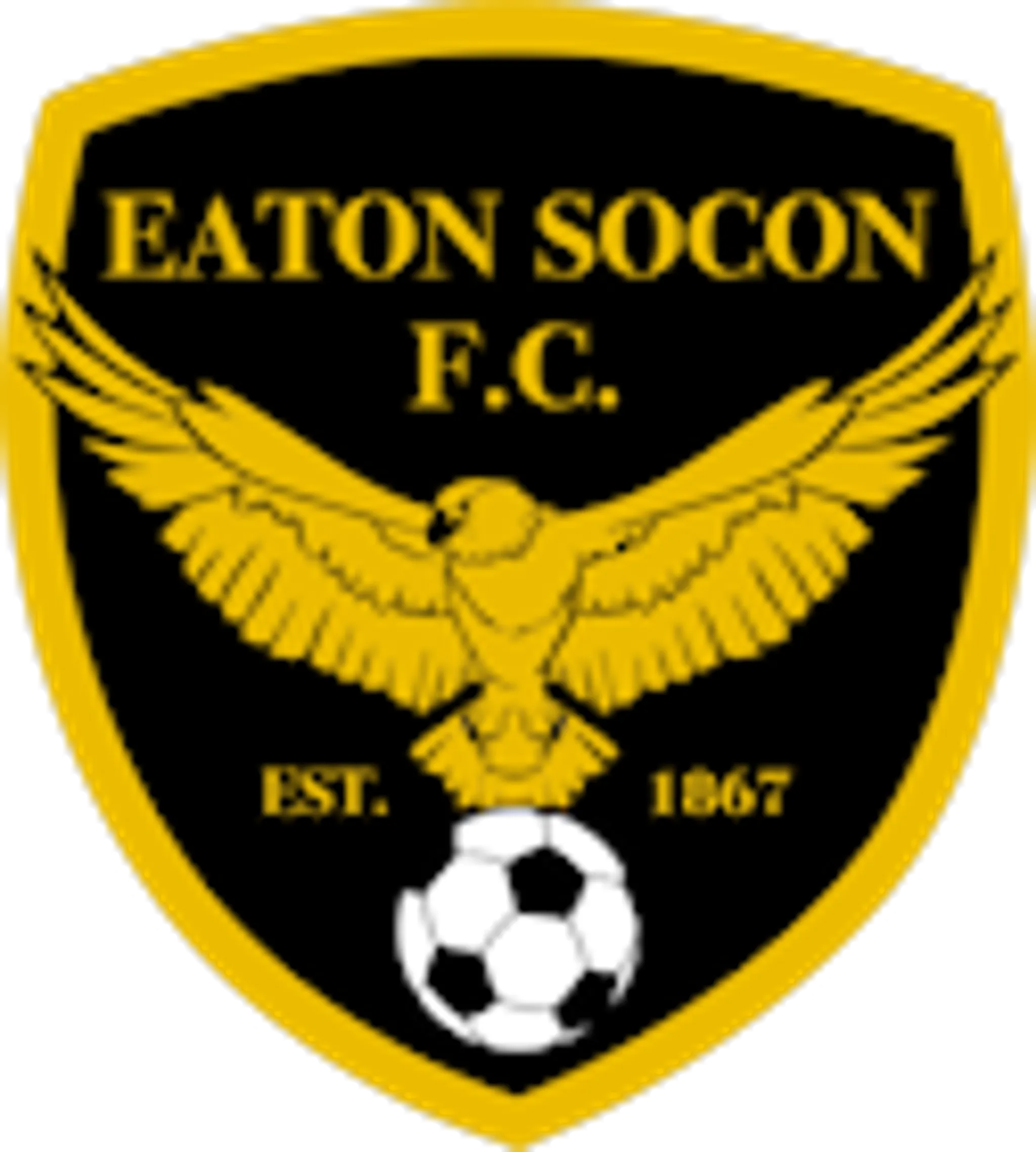 Eaton Socon FC