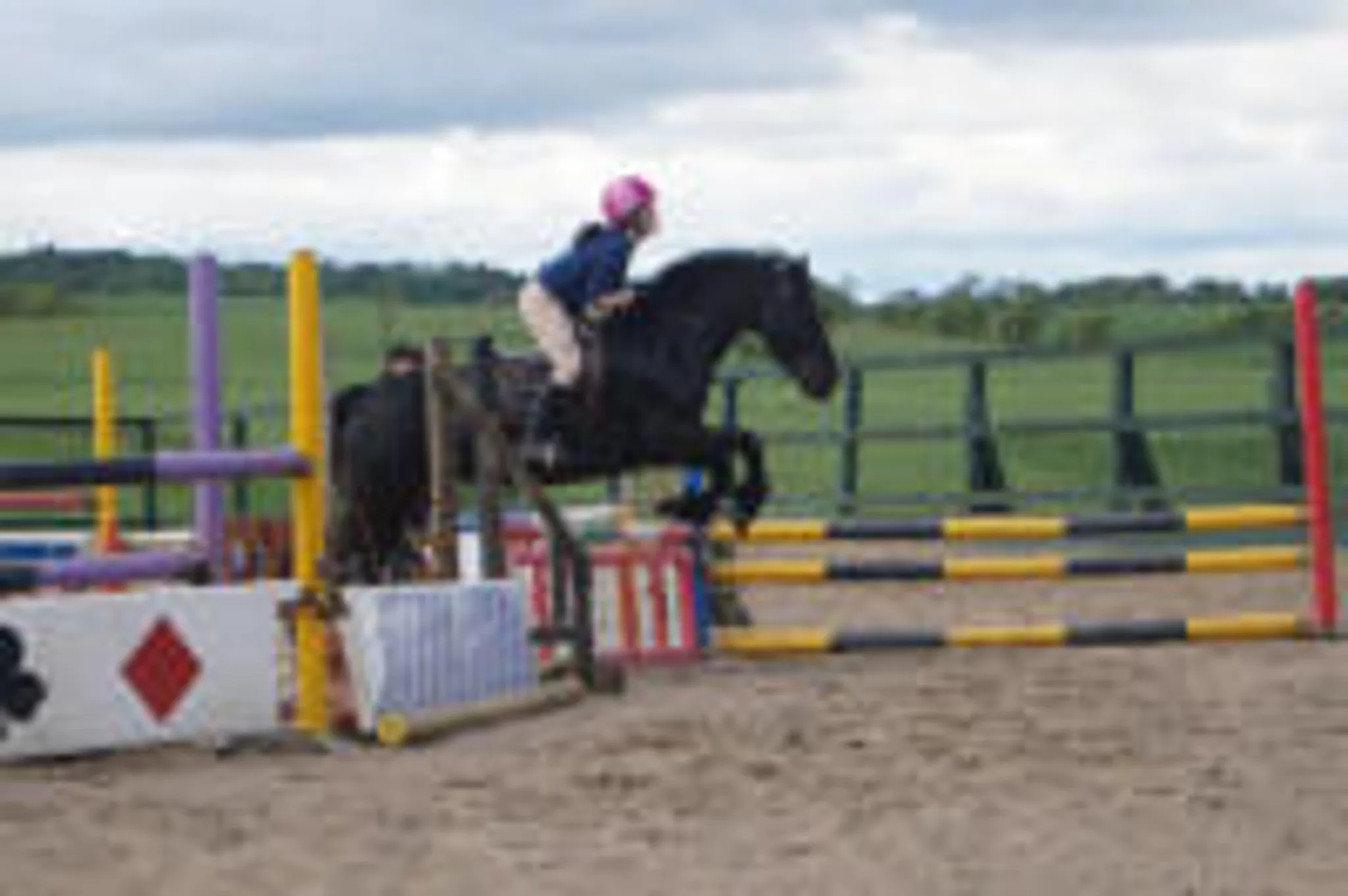 Houston Farm Riding School