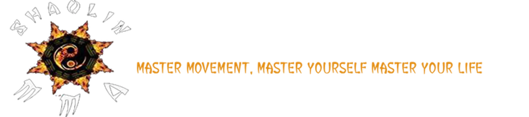 Shaolin MMA | Excellence School of Jiu-Jitsu