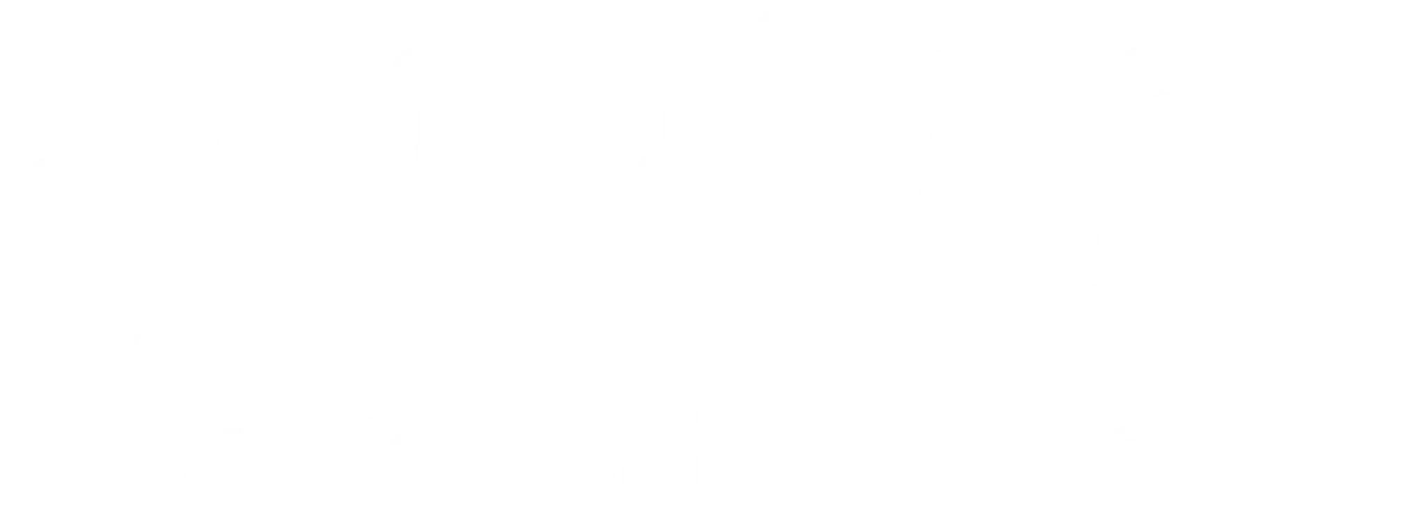 Shentie Martial Arts Academy