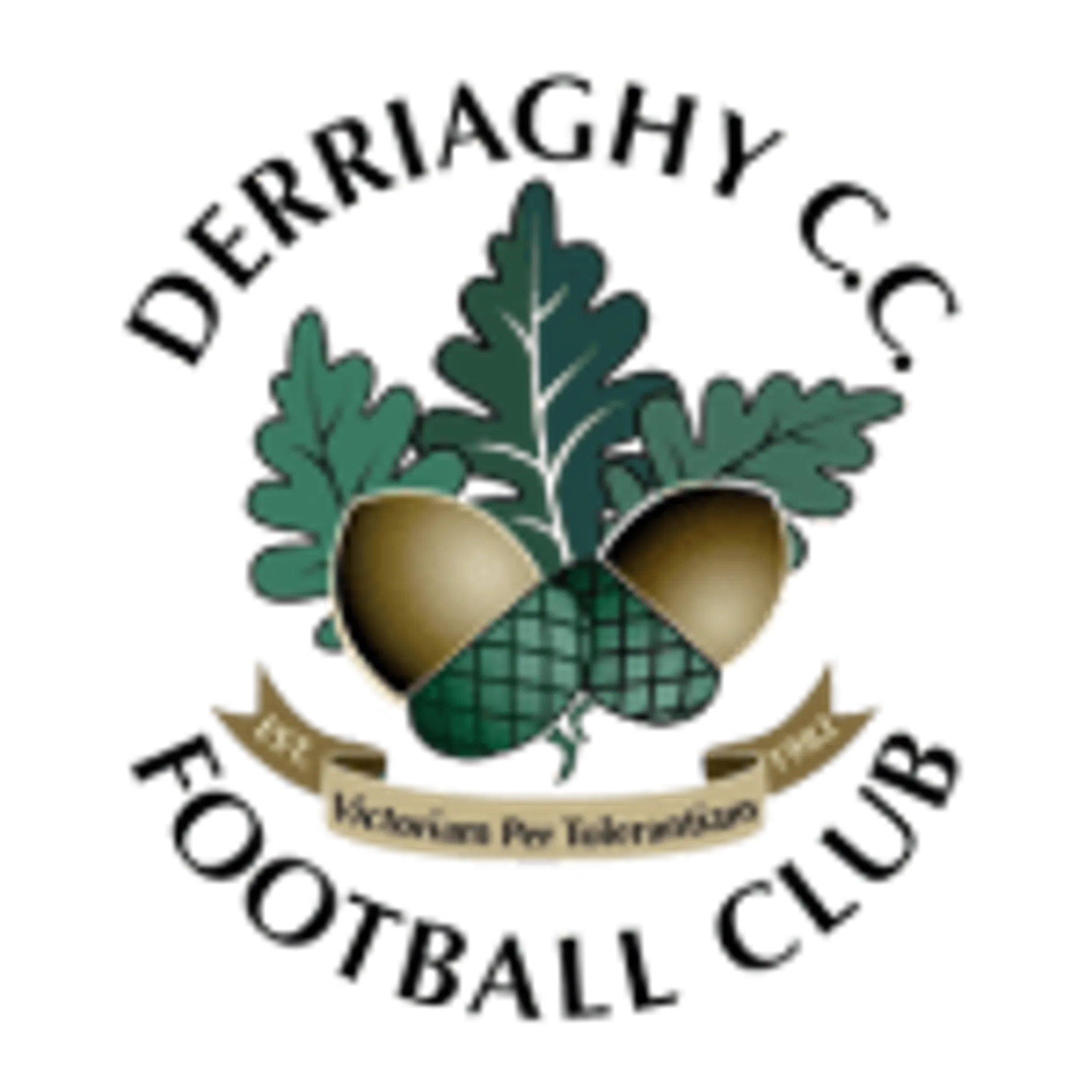 Derriaghy CCFC