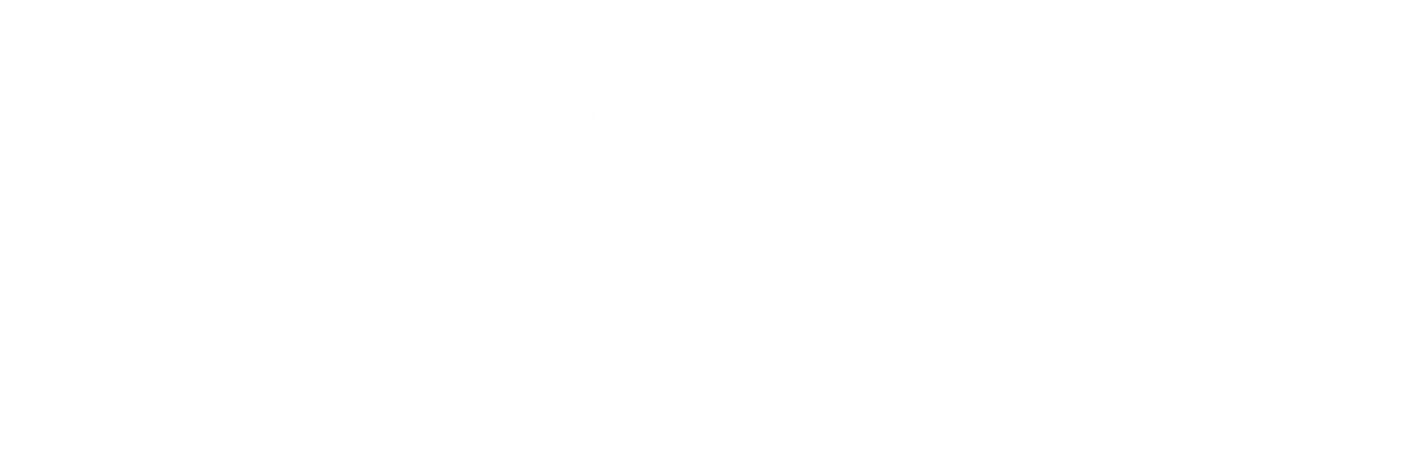 Newcastle Biomechanics