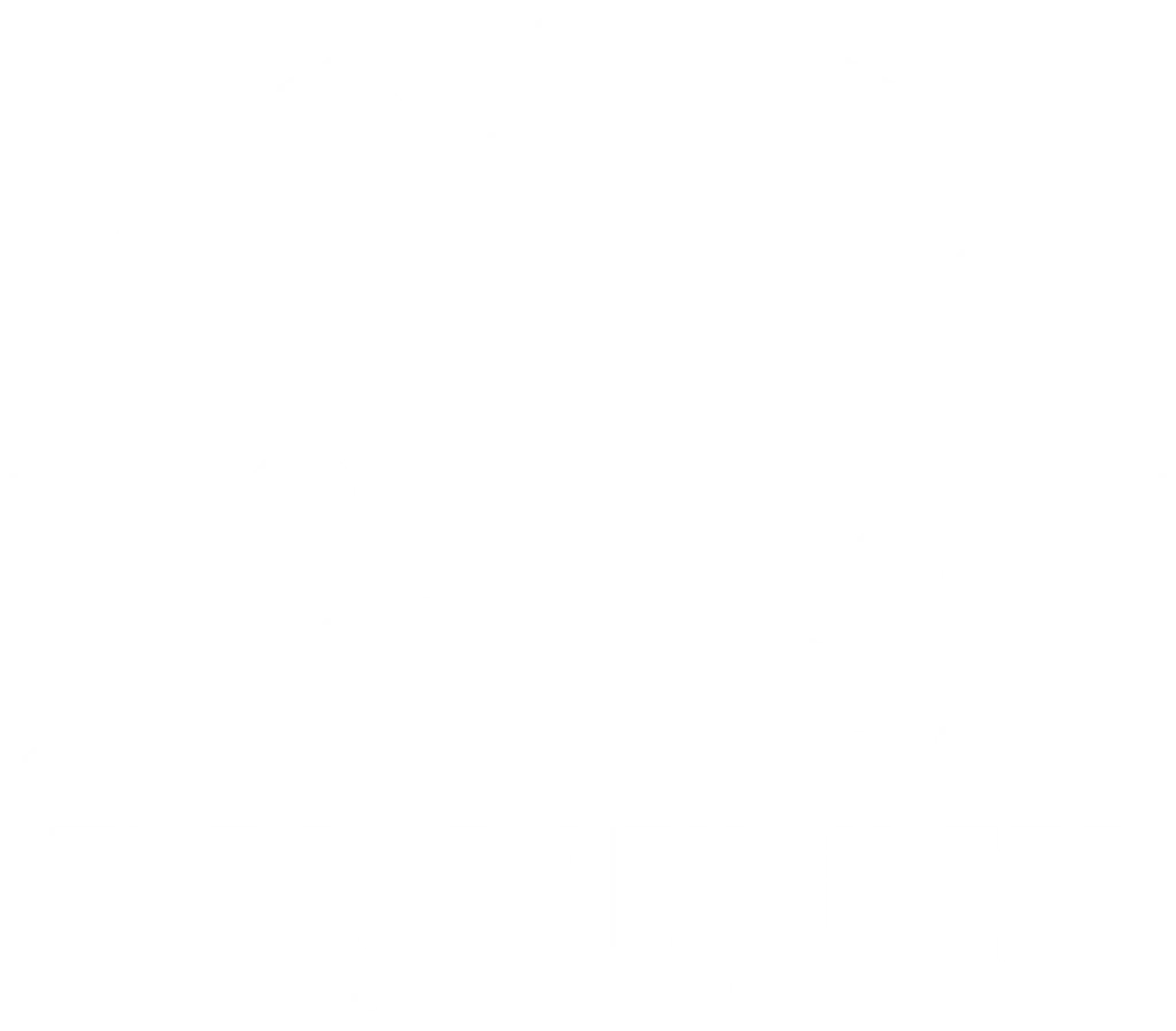 The Body Engineer Personal Trainer