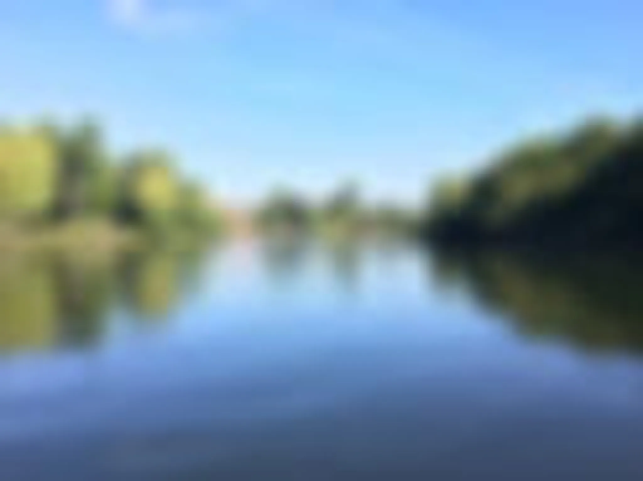 Richmond May Fair Taster Row