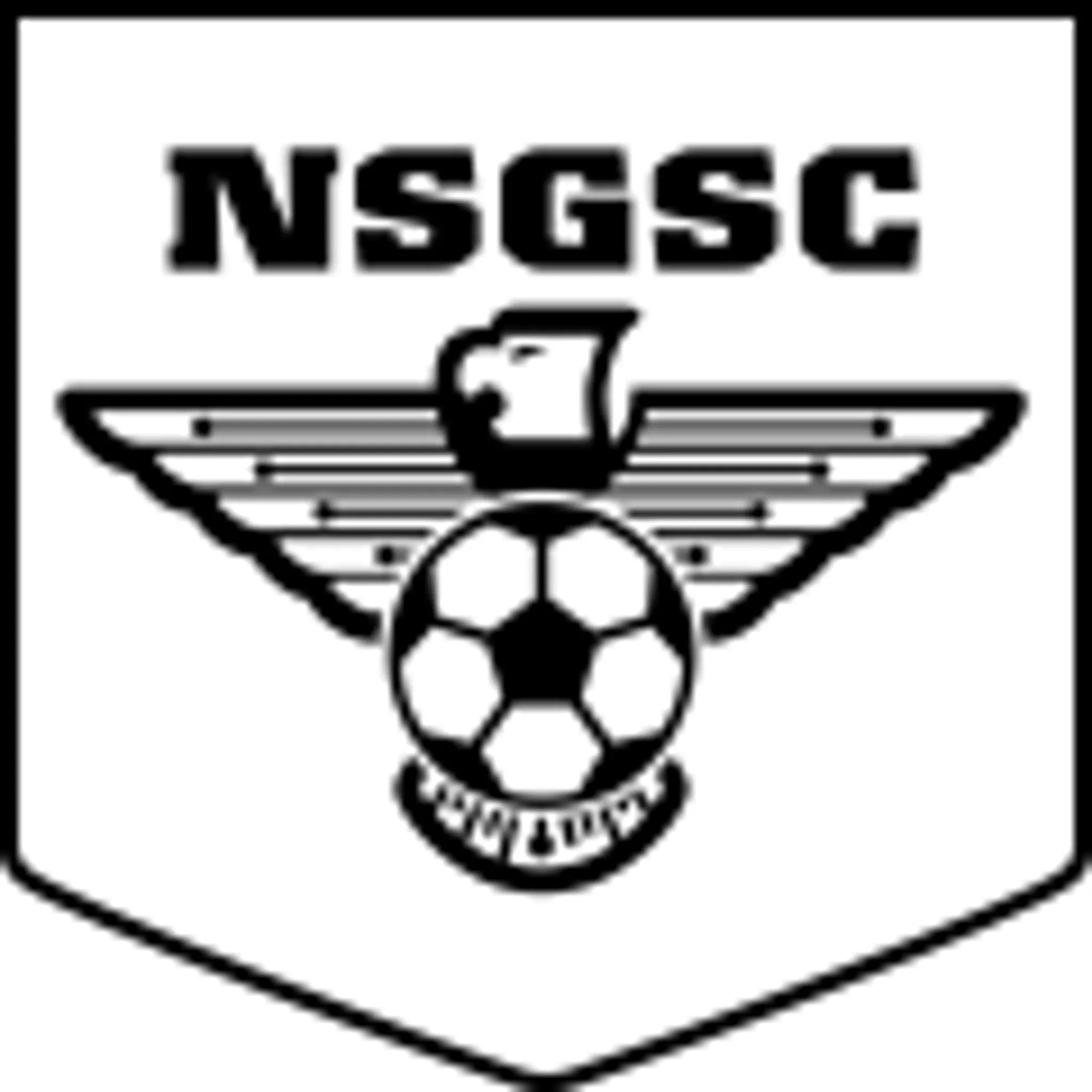 North Shore Girls Soccer Club