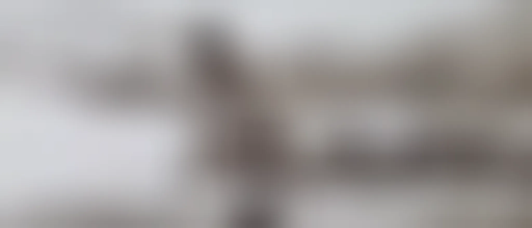 Wu's Tai Chi Chuan Academy, Brixton, London, UK