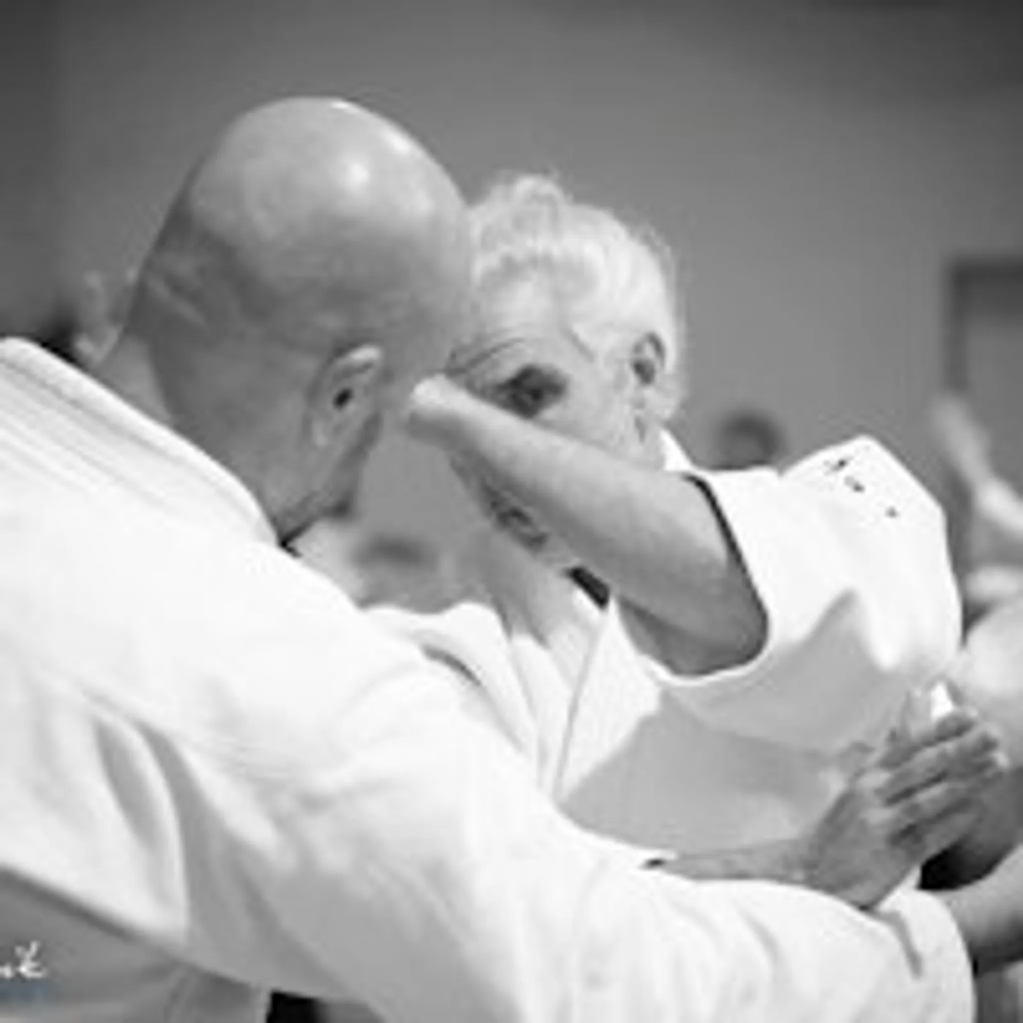 Biella Martial Arts Event