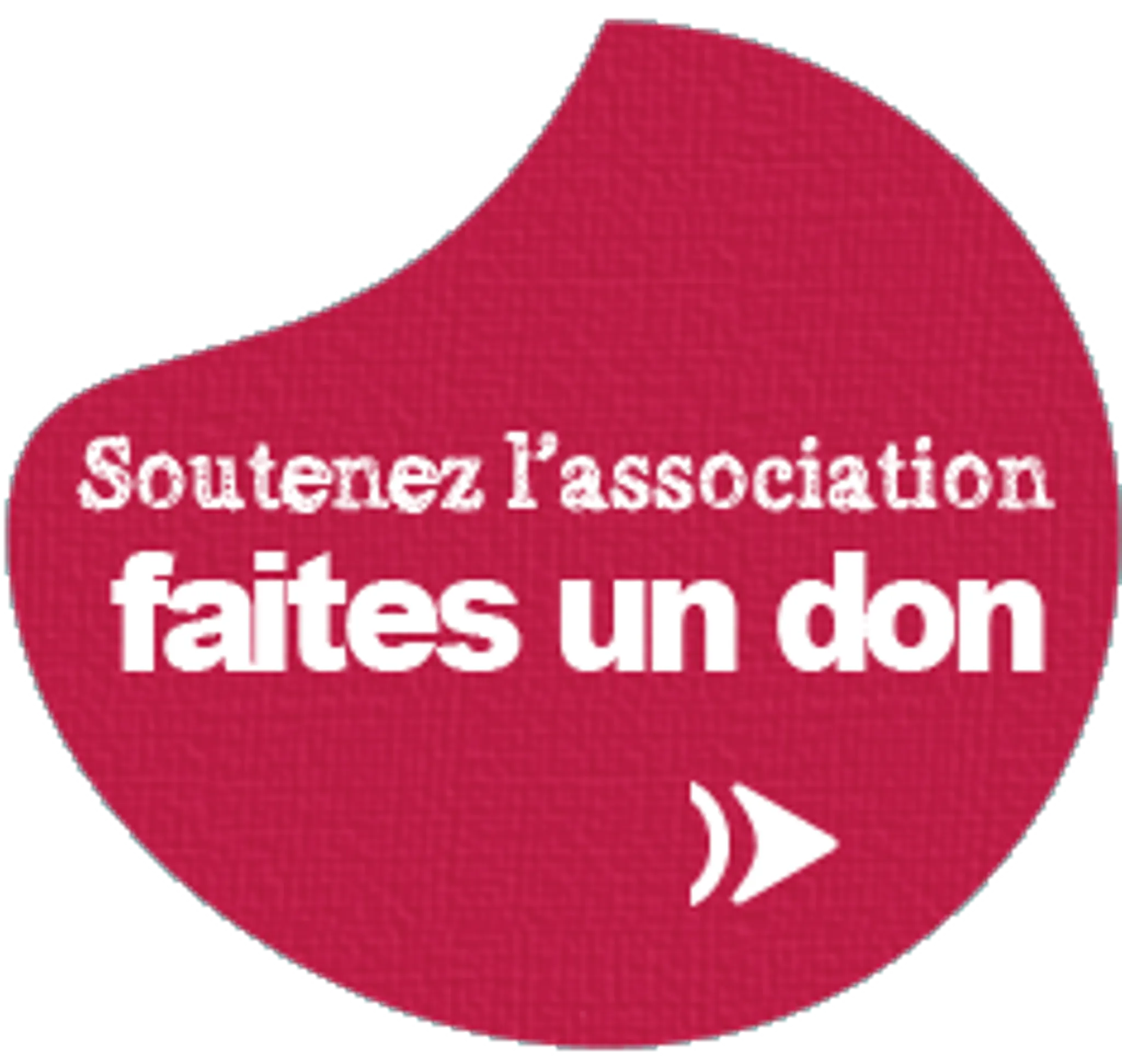 Mma Fighting Academy