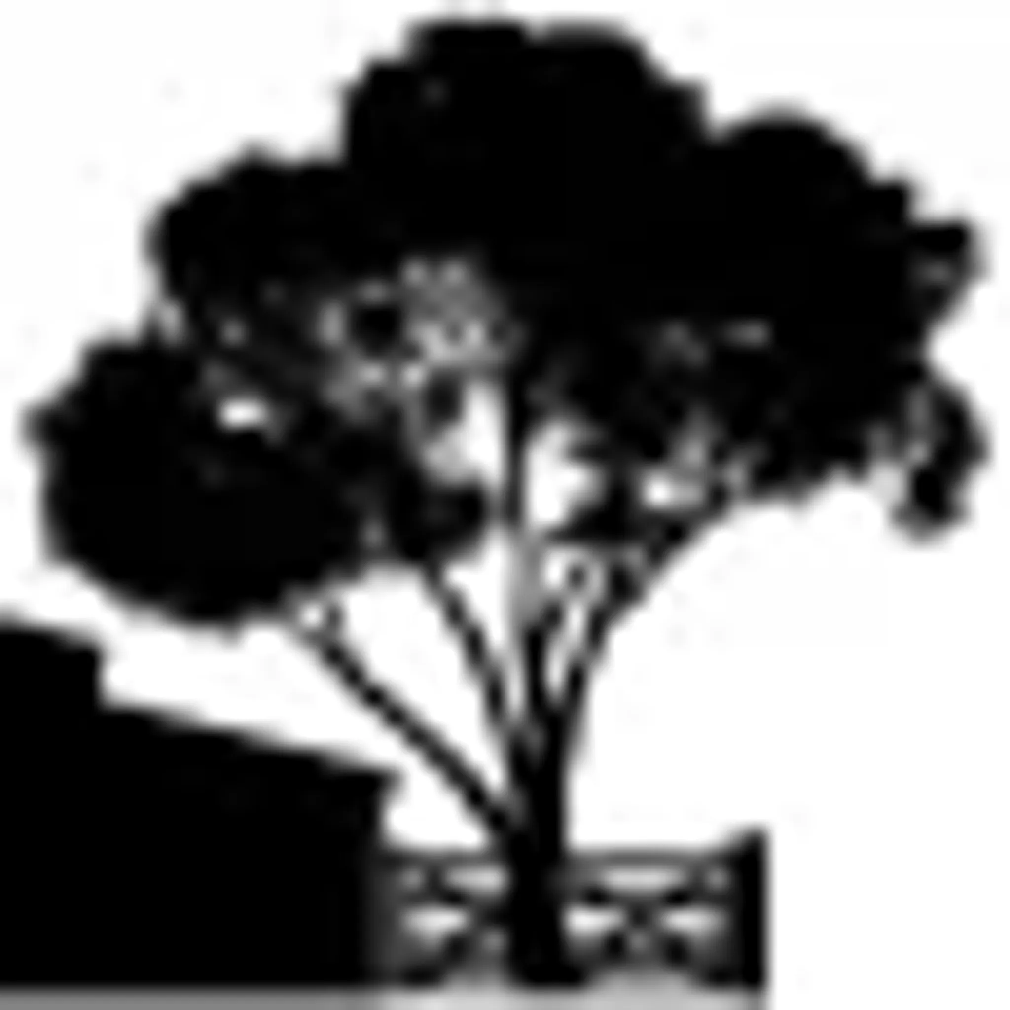 Molly Gatland Dressage