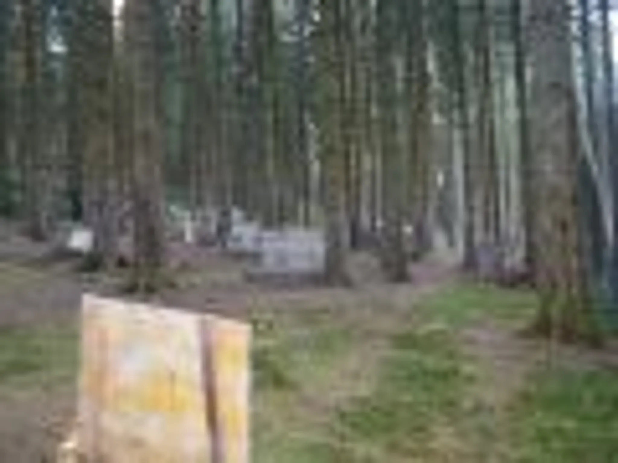 PAINTBALL 88 GERARDMER