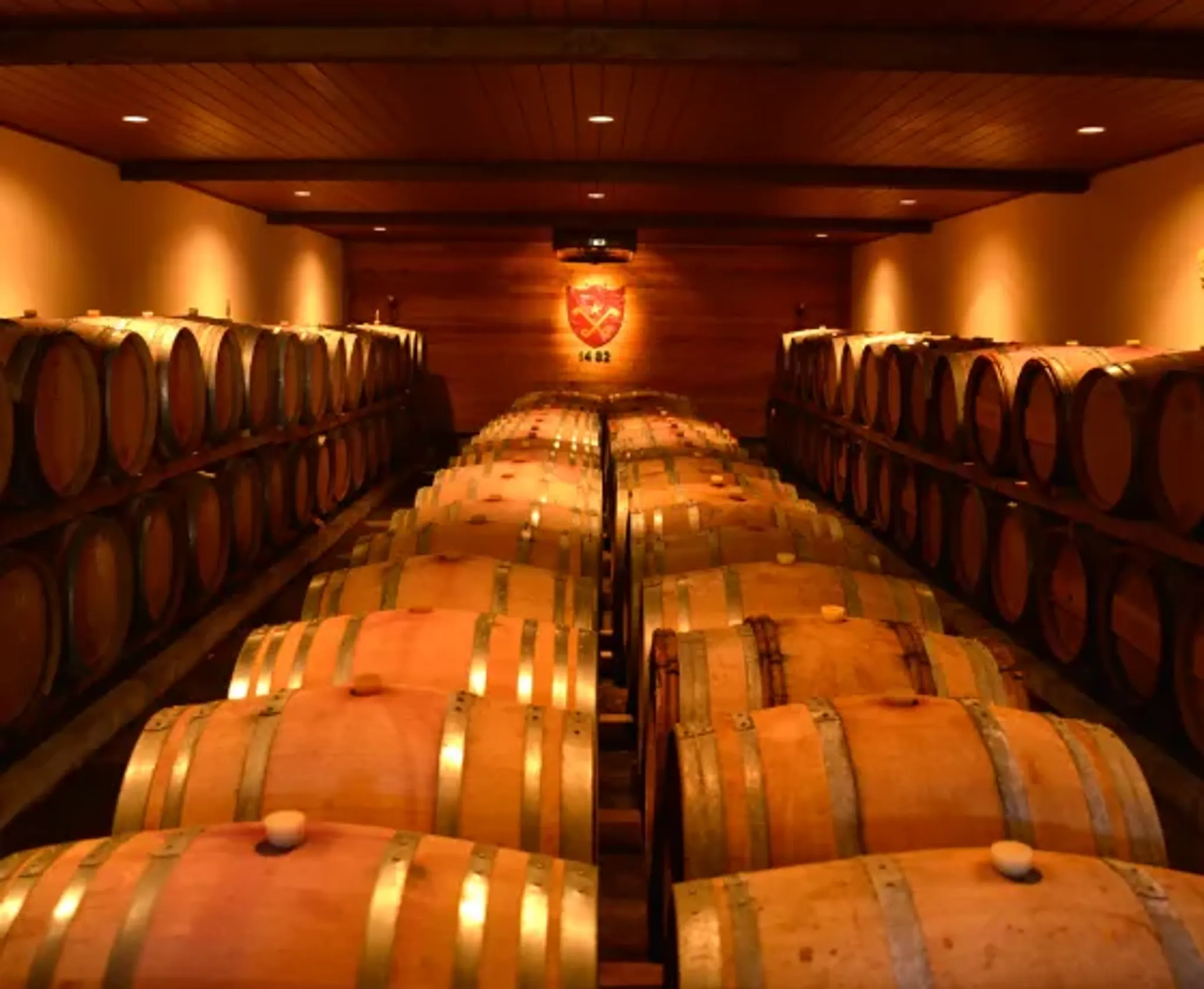 Winery Tours