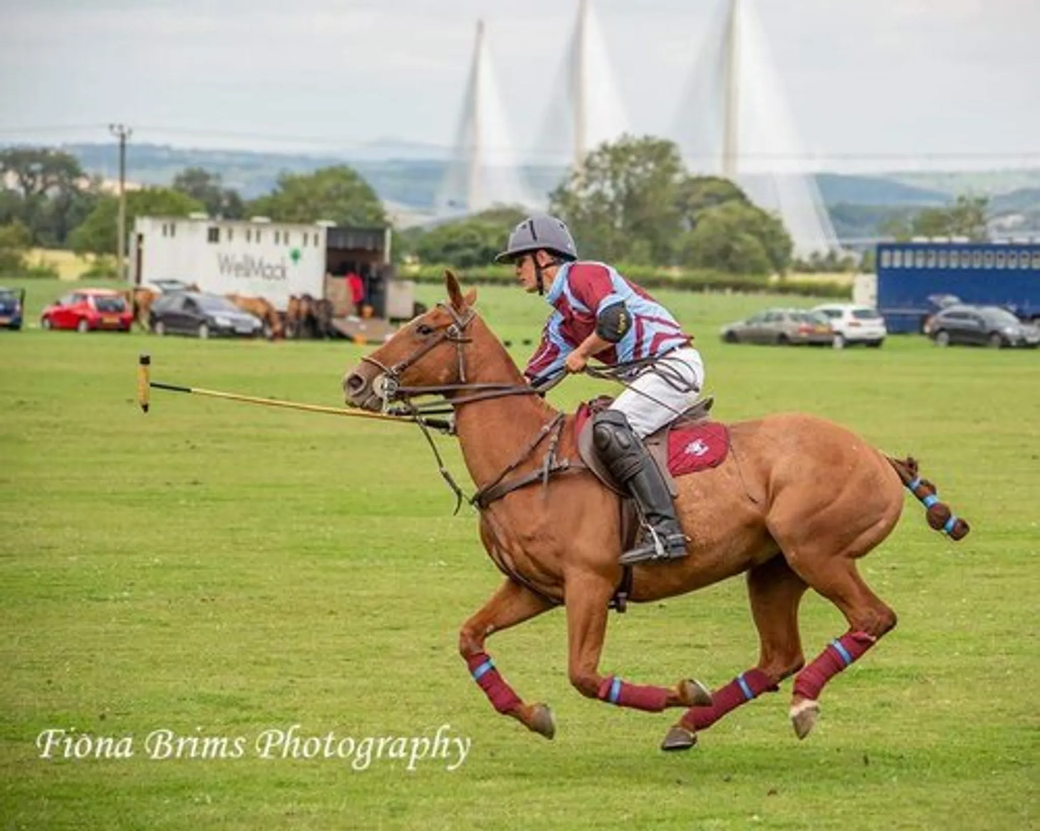 Learn and Play Polo near Edinburgh