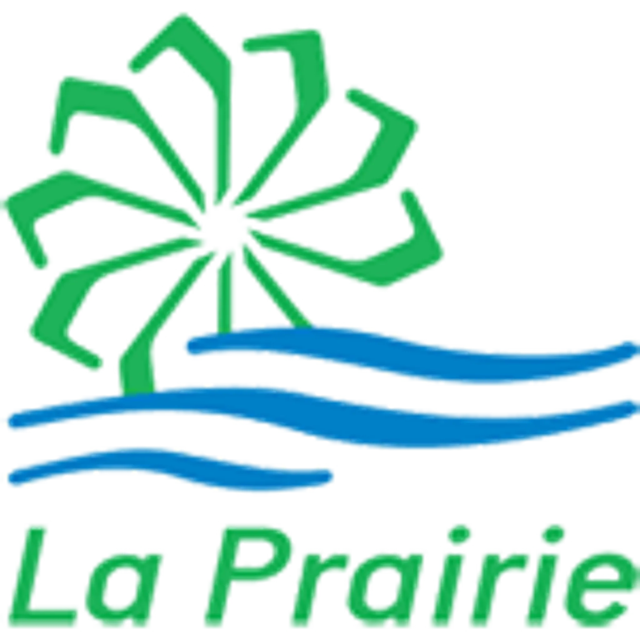 Patinoire extrieure La Prairie