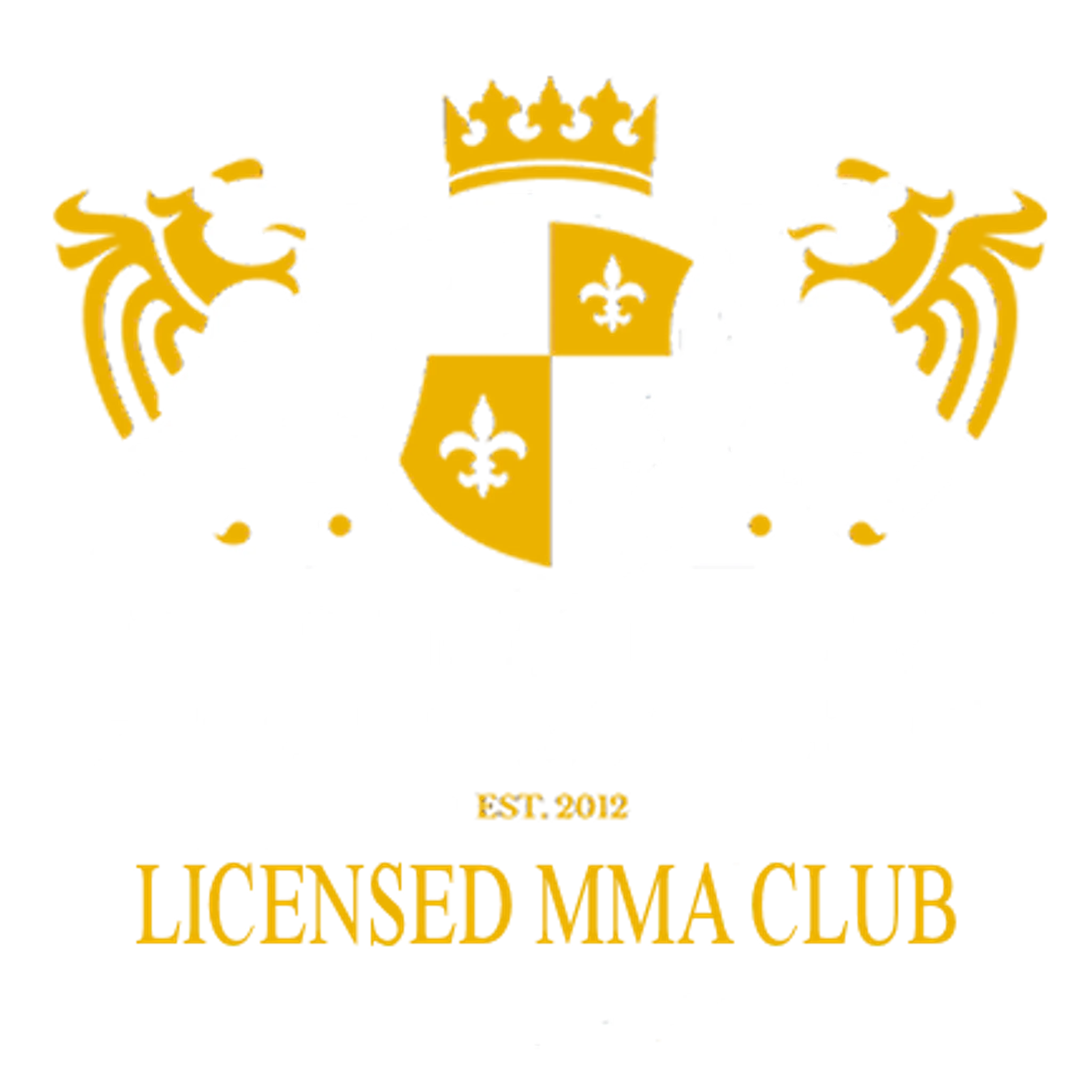 Close Combat Martial Arts