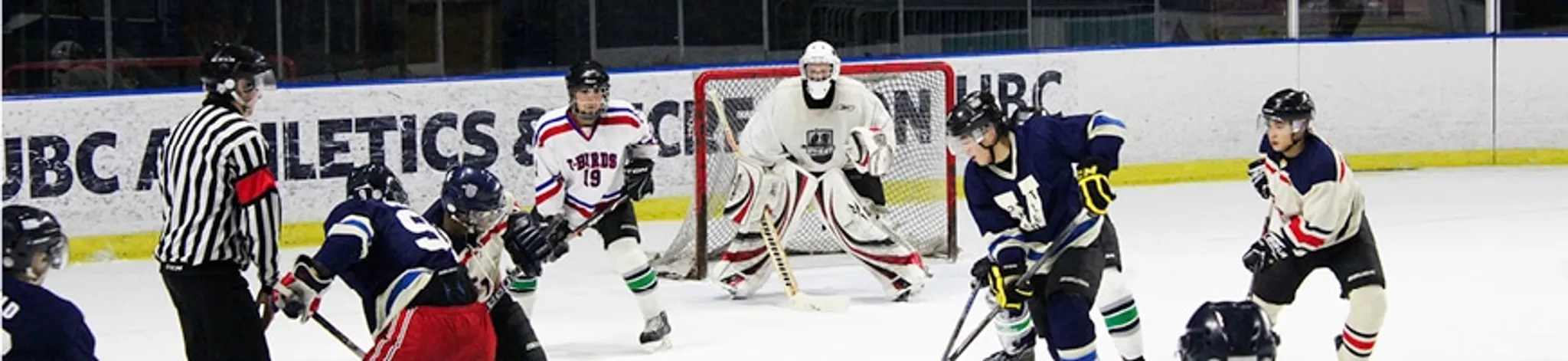 Summer Thunderbird Adult Softball League