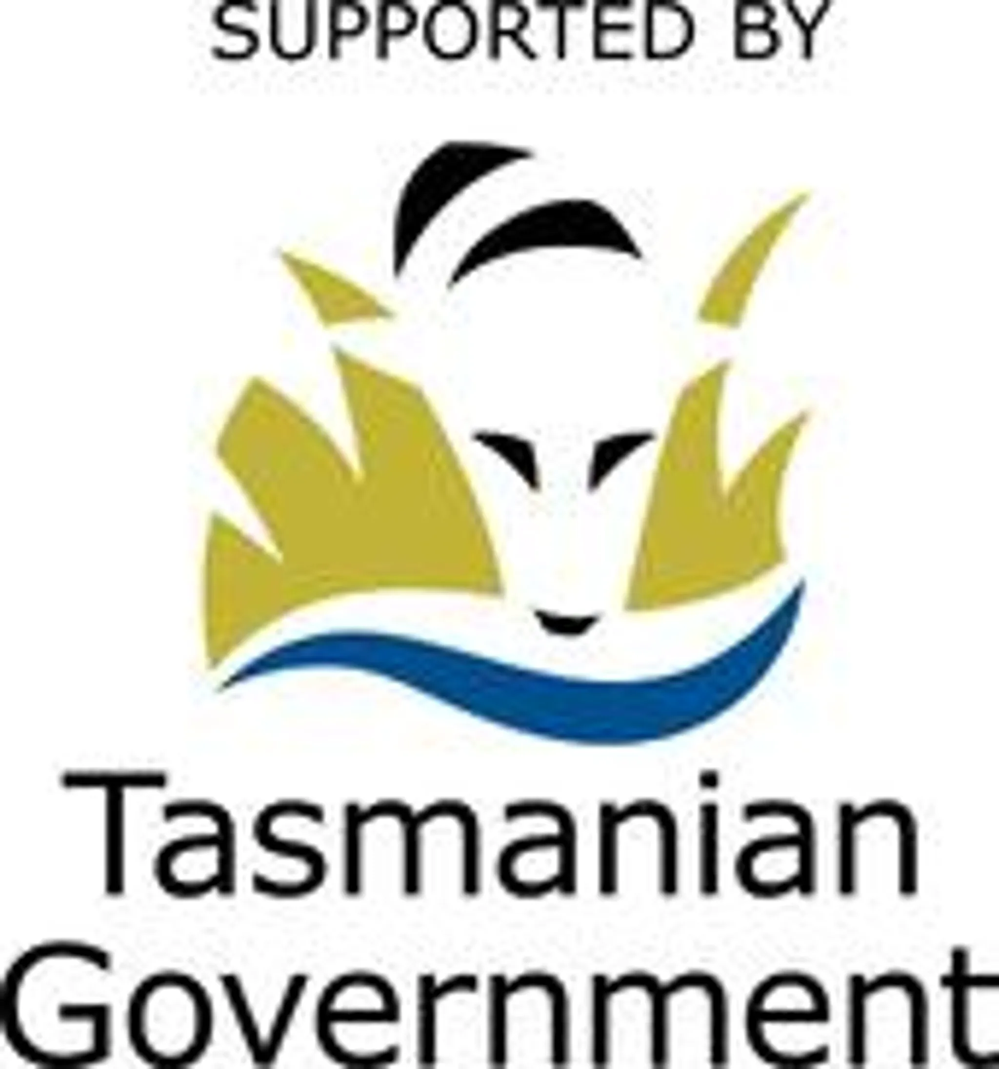 Underwater Hockey Tasmania