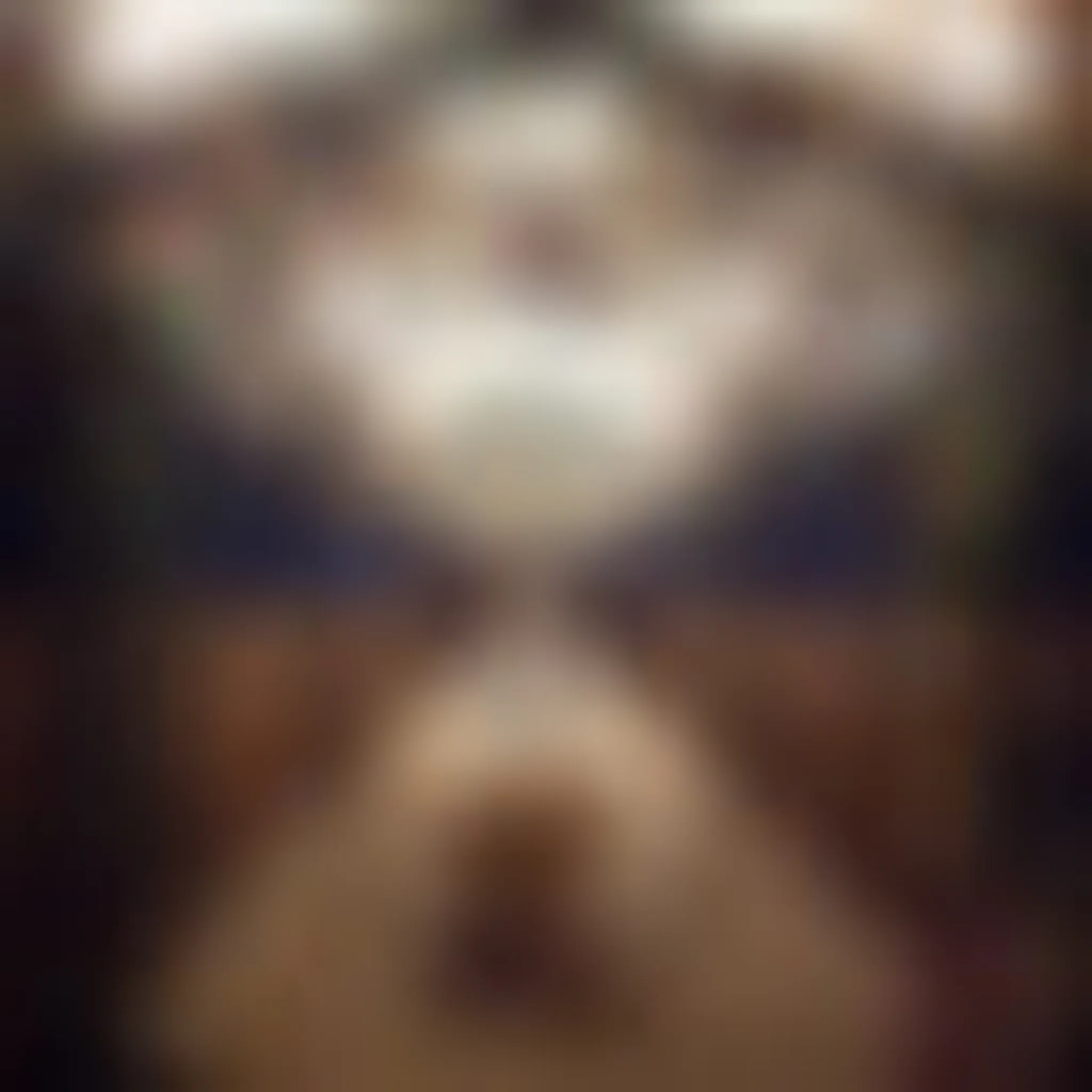 Celtic Roots Equestrian