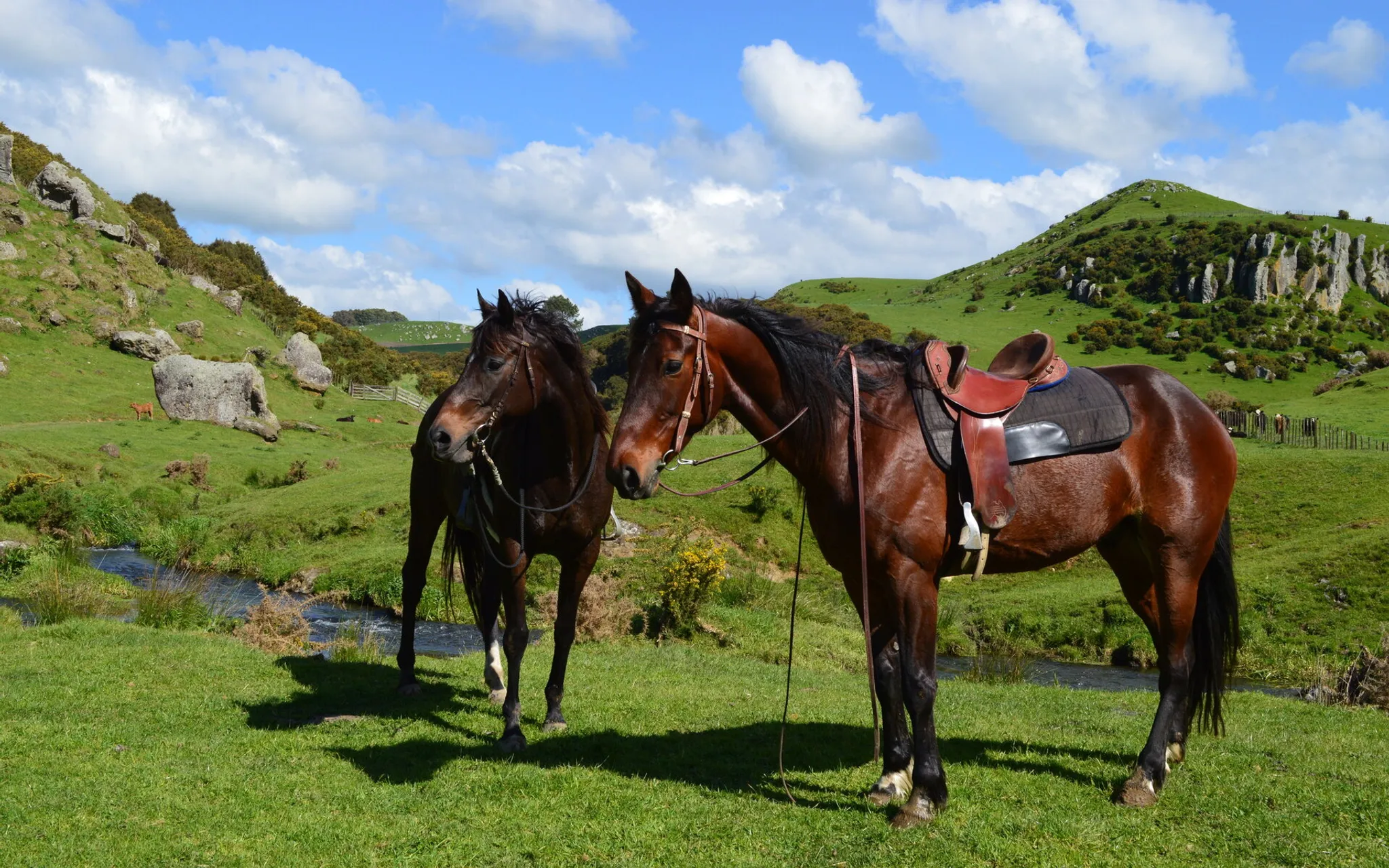 Horse Riding at Stone Hill