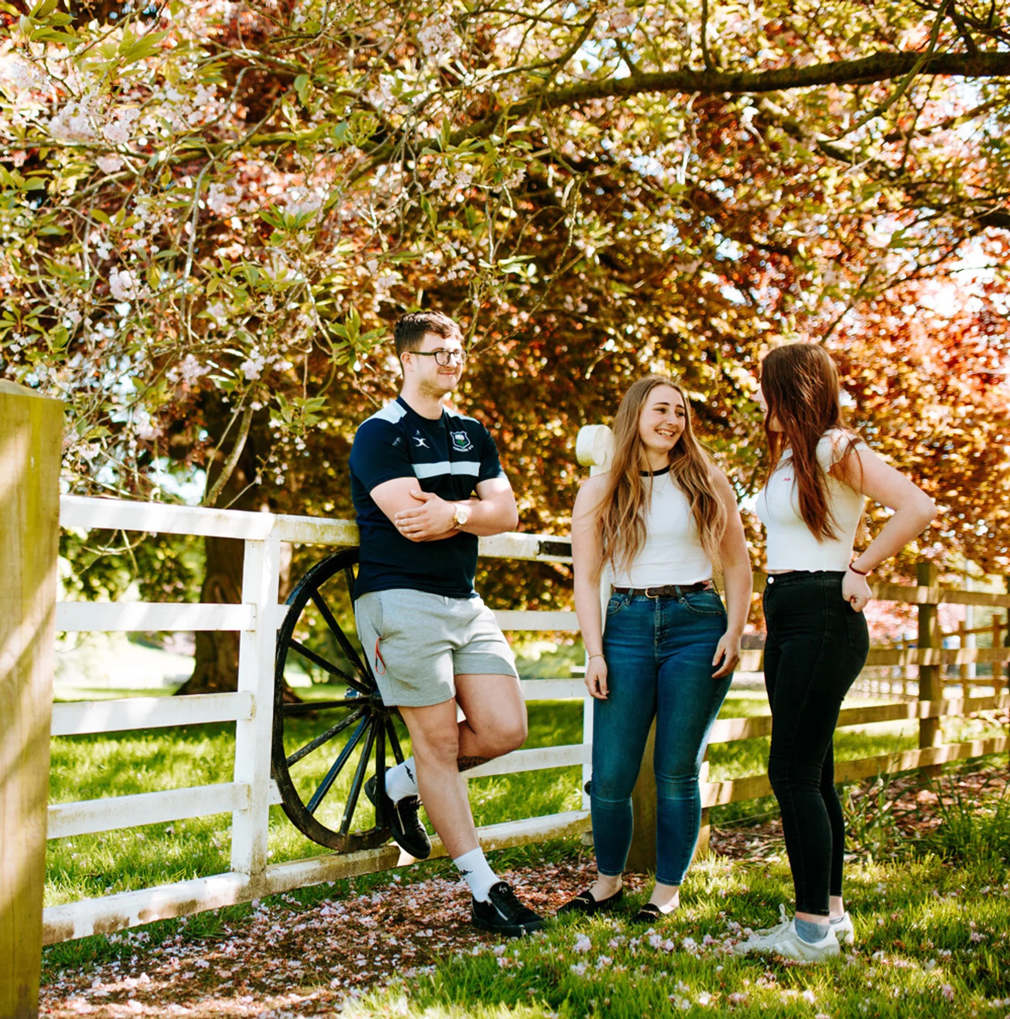 Bishop Burton Equine Centre