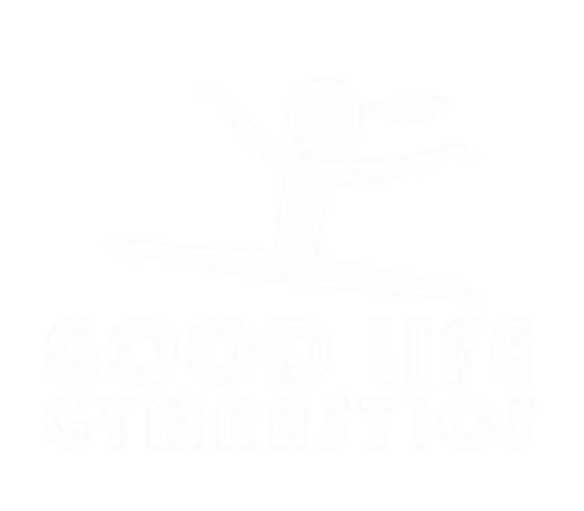 Good Life Gymnastics -Gymnastics Club