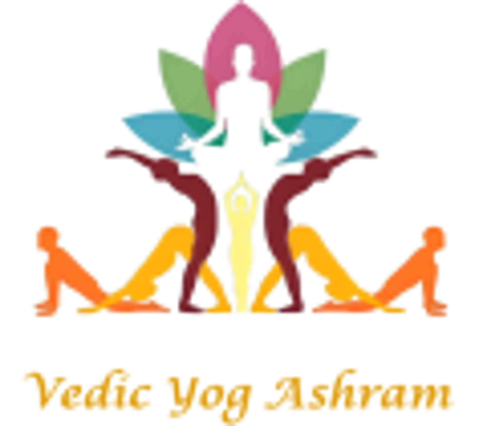 Vedic Yog Ashram/yogastudio/yogacenter