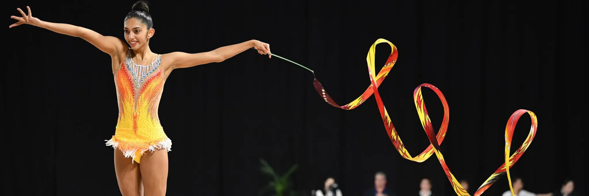 Gymnastics Australia 