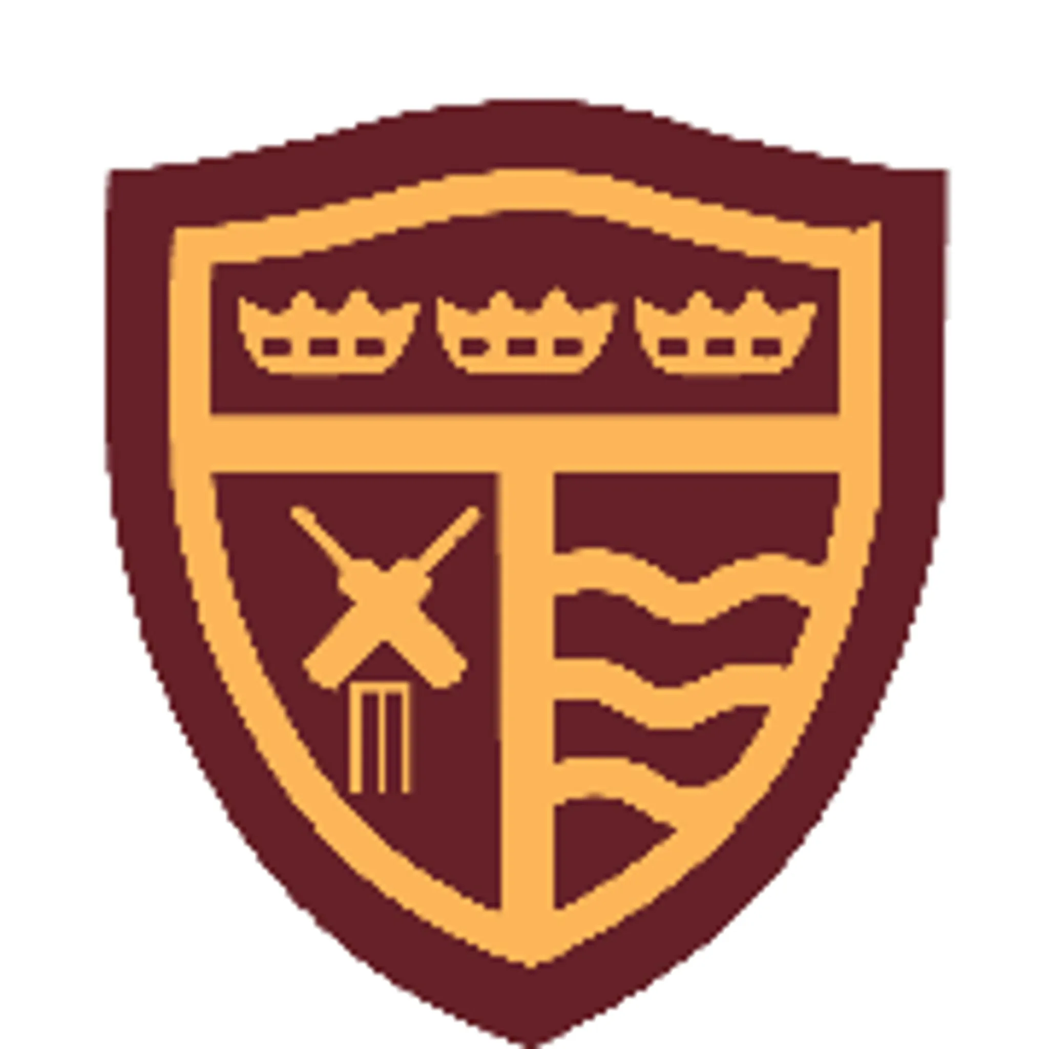 Clowne Town Cricket Club