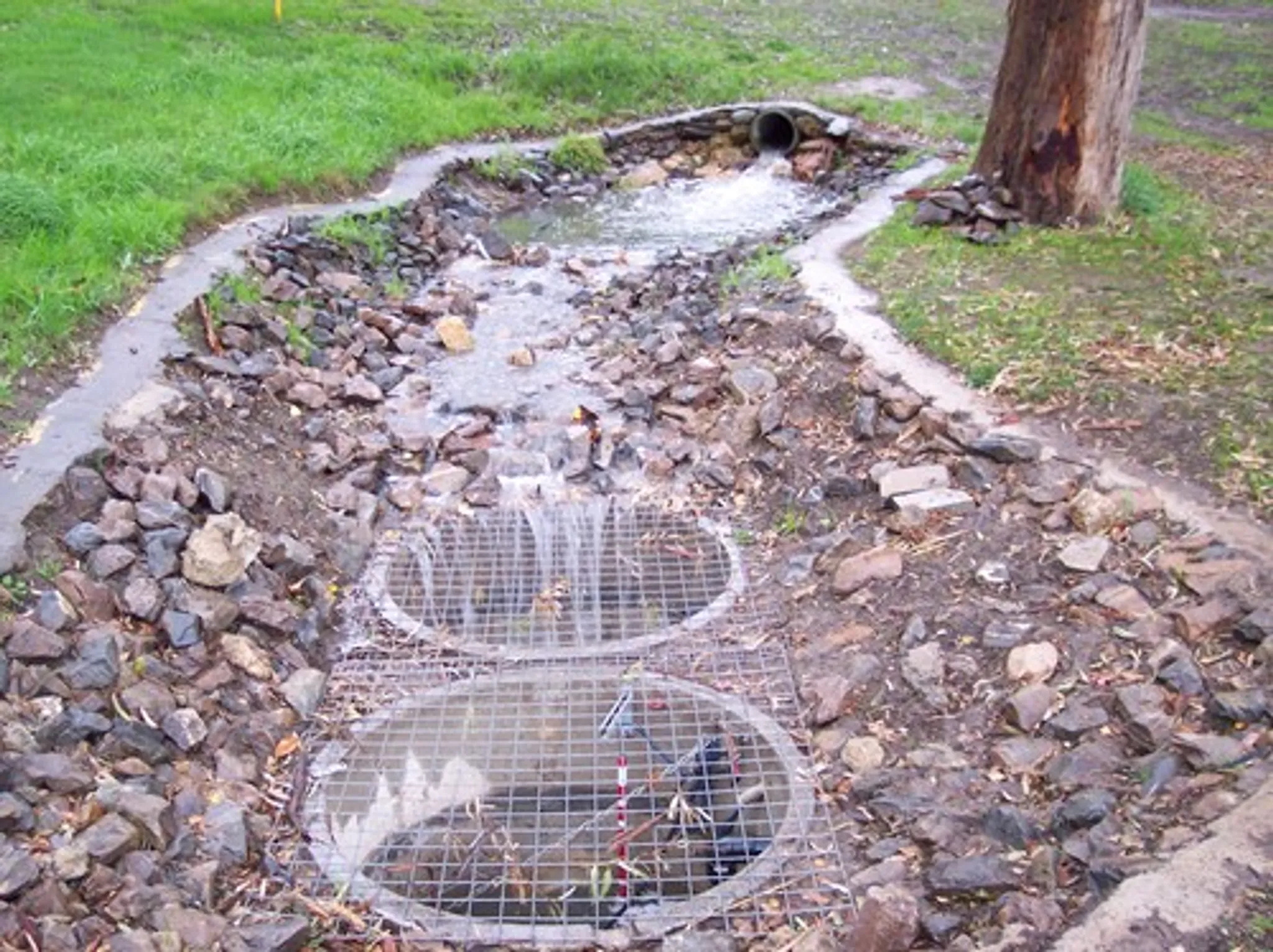Men's LJ Hooker Trophy