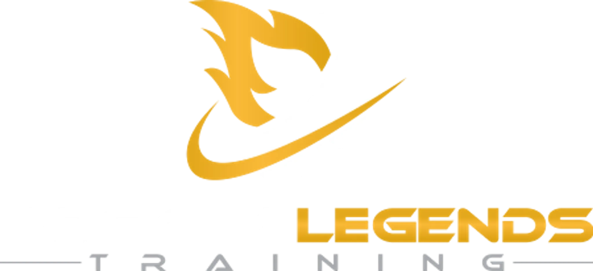 Hockey Legends Training