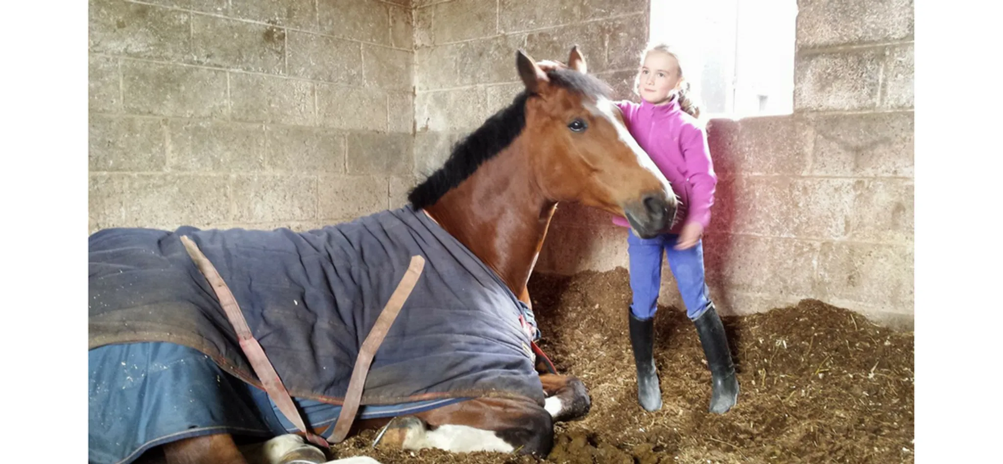 Duffys Equestrian Centre