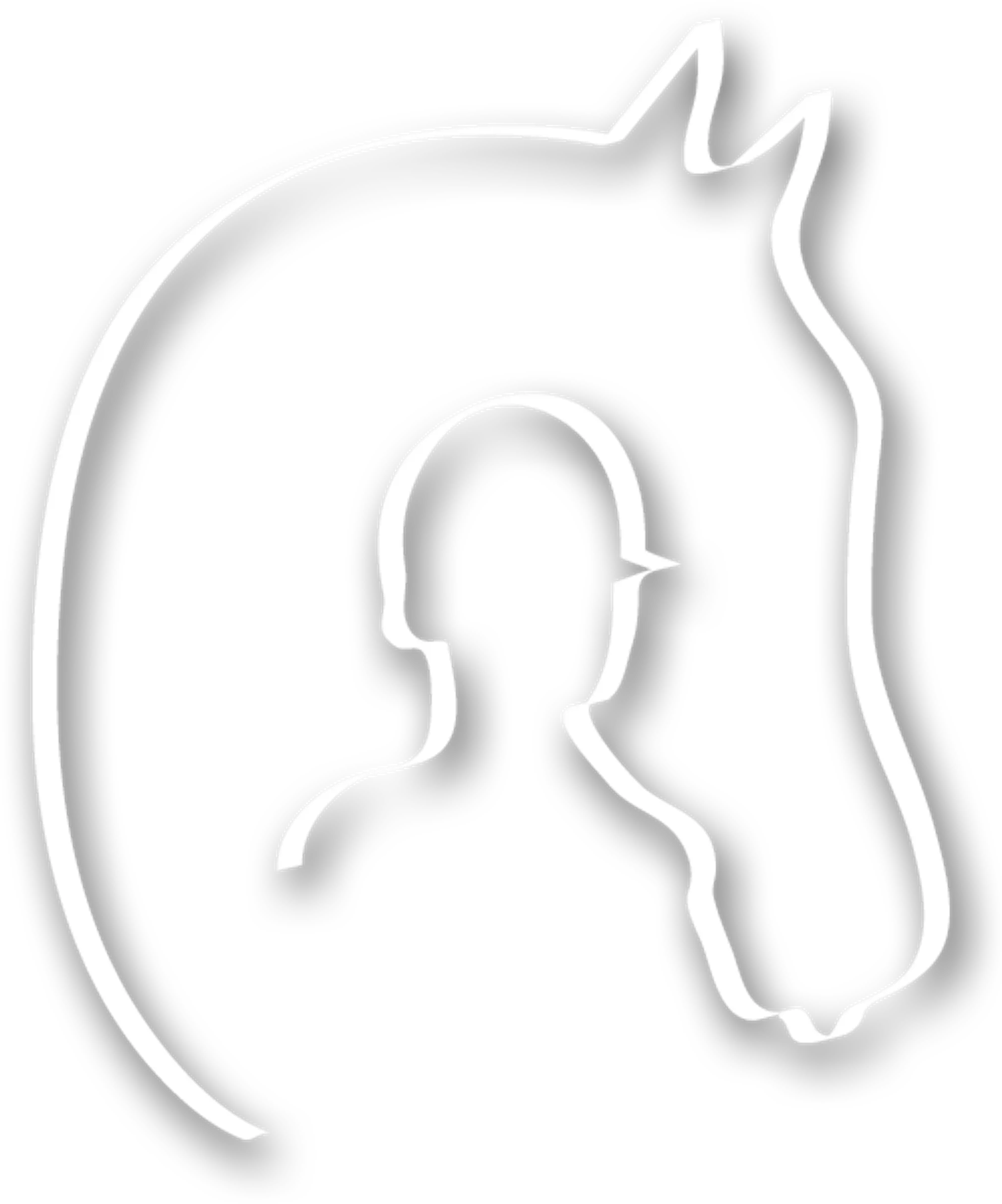 Terrey Hills Riding School