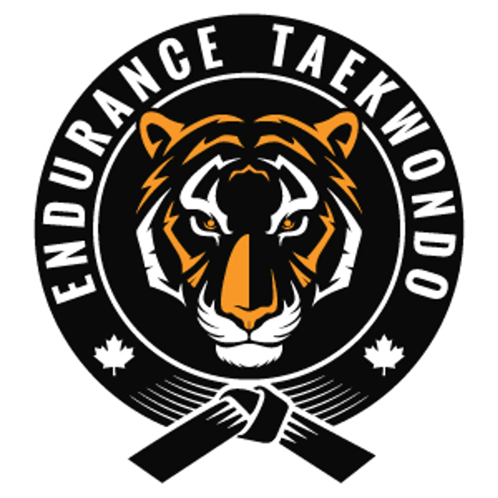 Endurance Taekwondo - Port Coquitlam