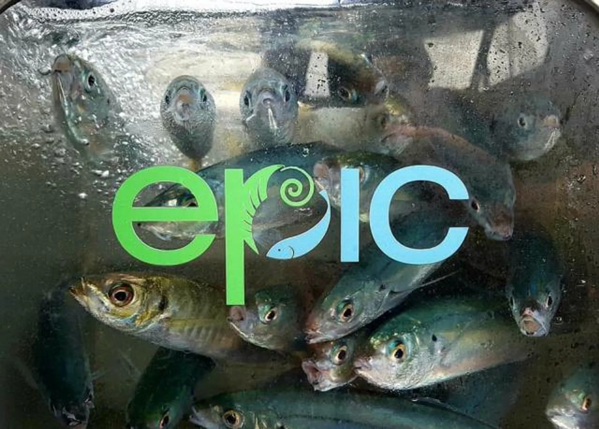 Epic Adventures Fishing Charters