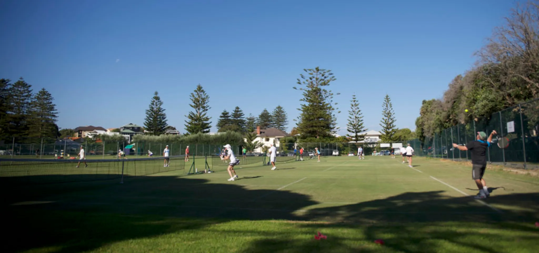 Adult Tennis Social Tennis