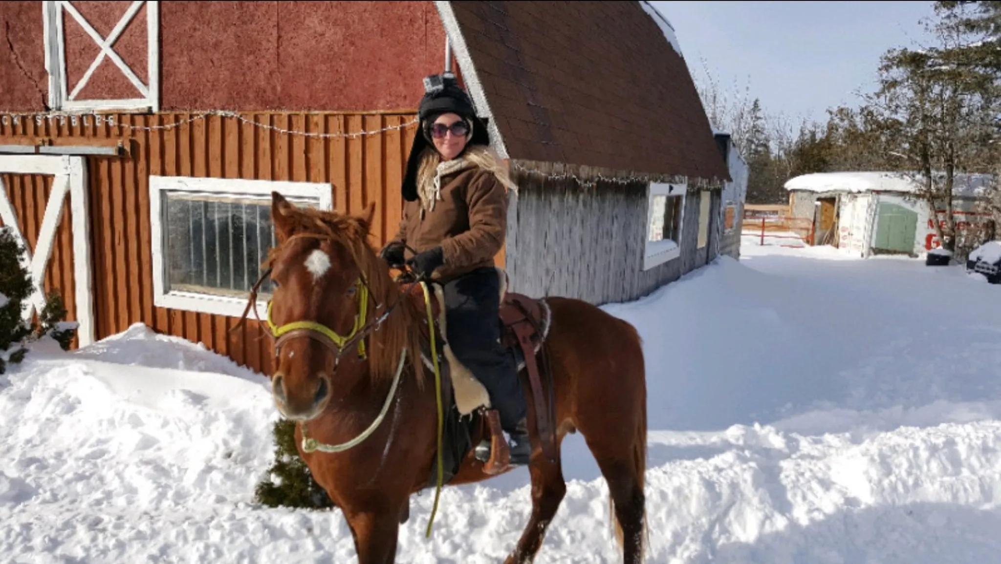 Summer Camp - Initiation à l'équitation