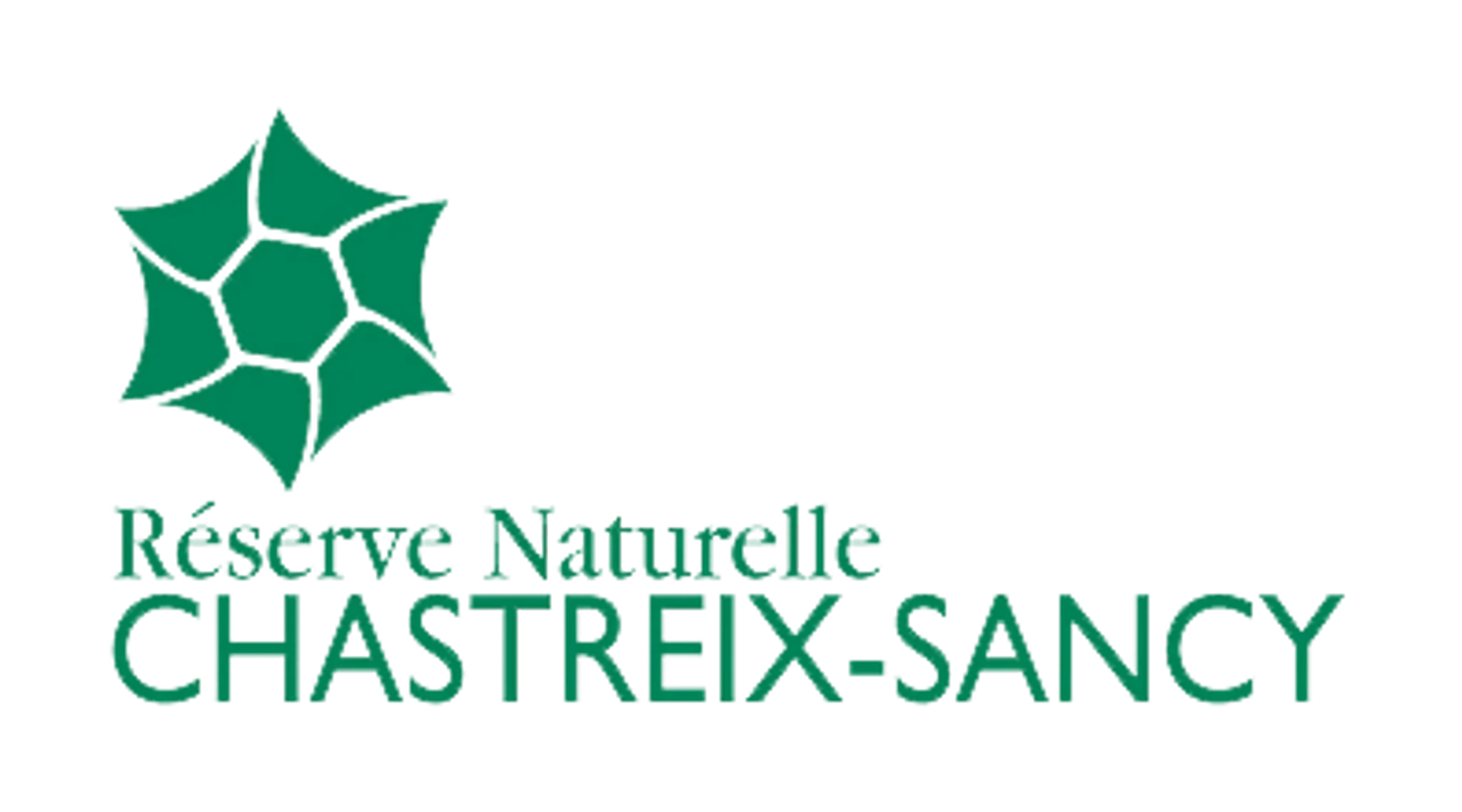 Mont Dore toboggan run