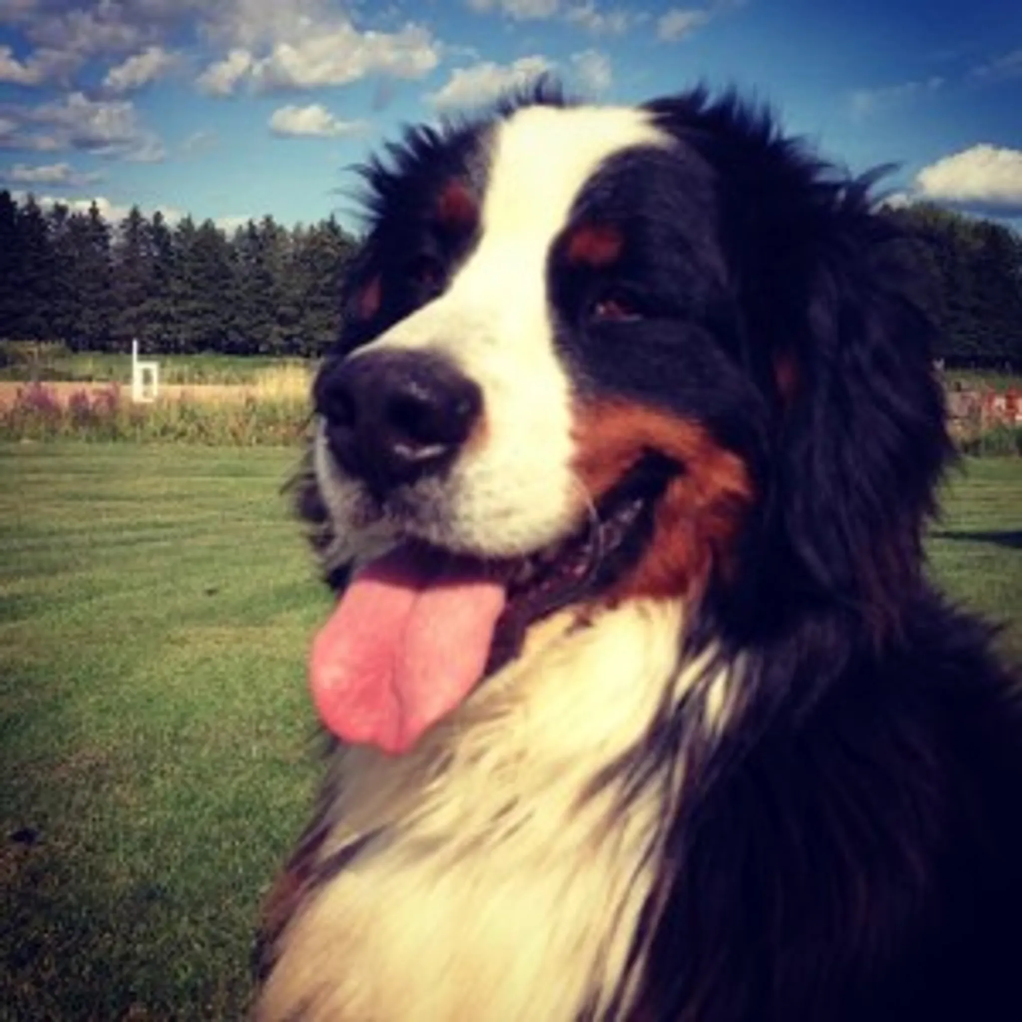 Brookson Riding Academy