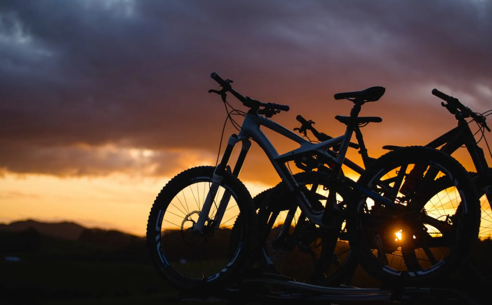 Waitangi Mountain Bike Park