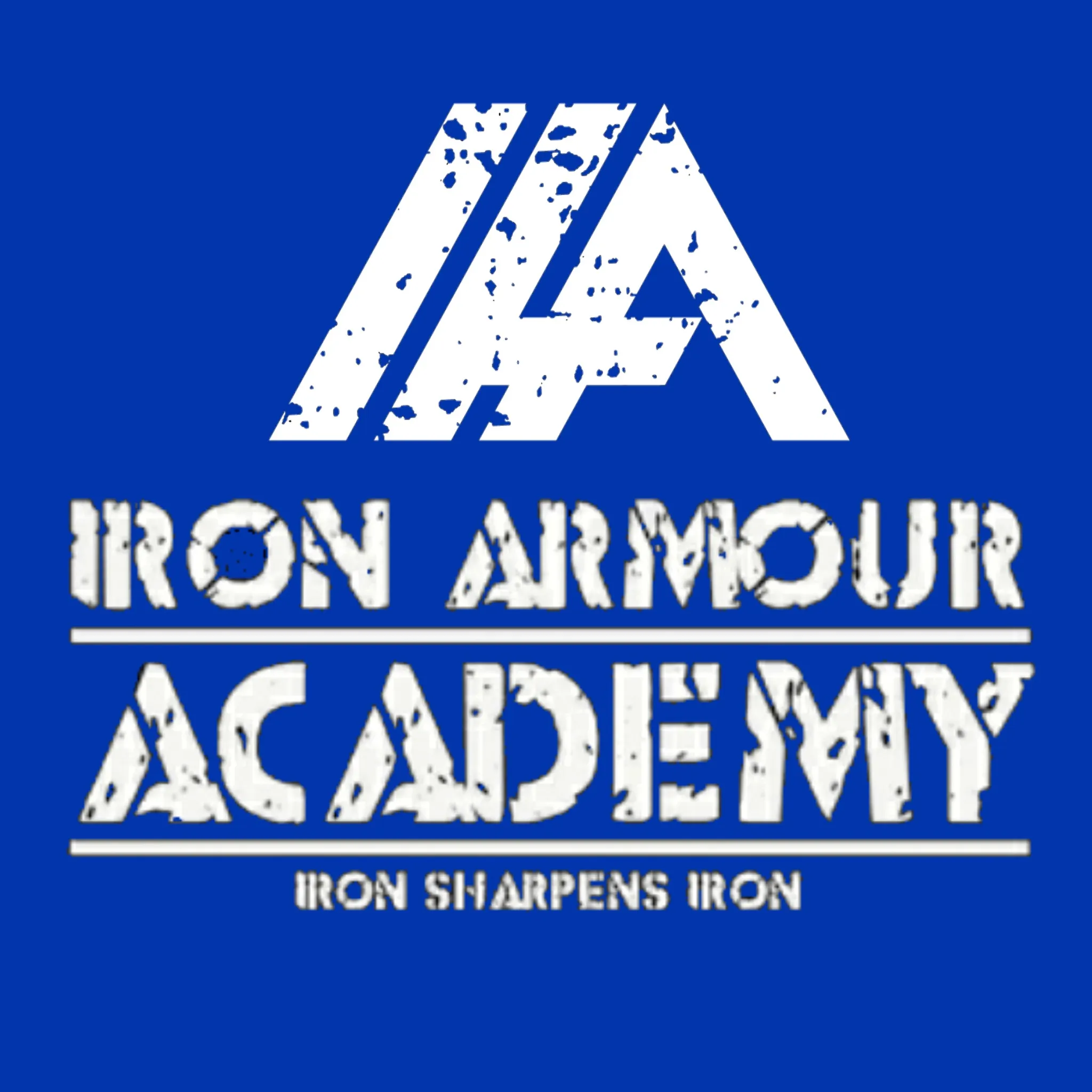 IRON ARMOUR ACADEMY
