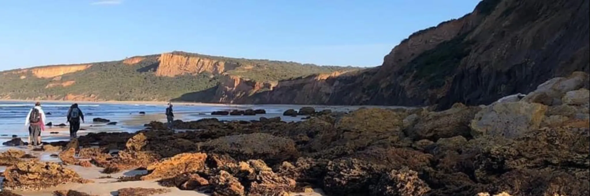 BANG Fitness Coaching