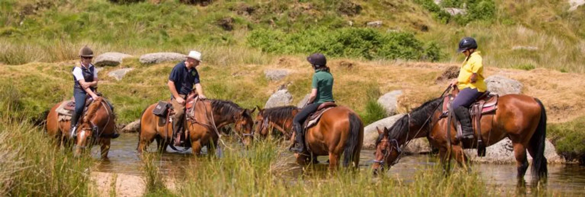 Dartmoor Riding Holidays