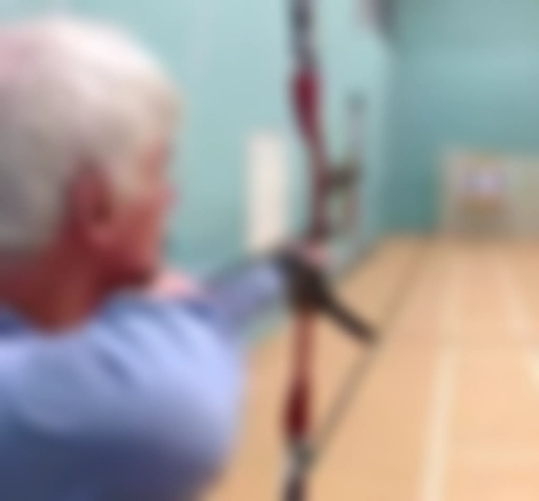 Archery Insight
